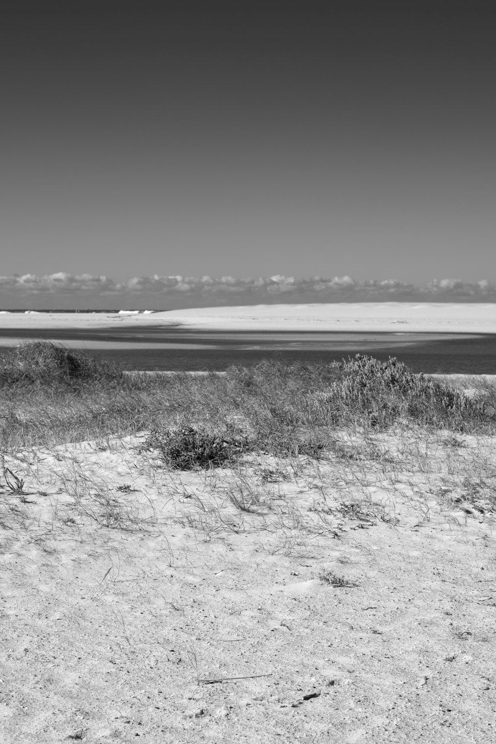 a black and white photo of a beach