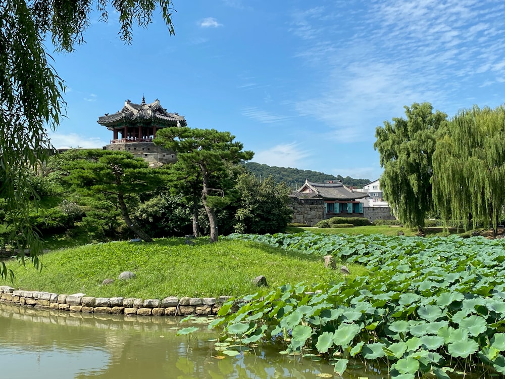 a pond in a park with a pagoda in the background