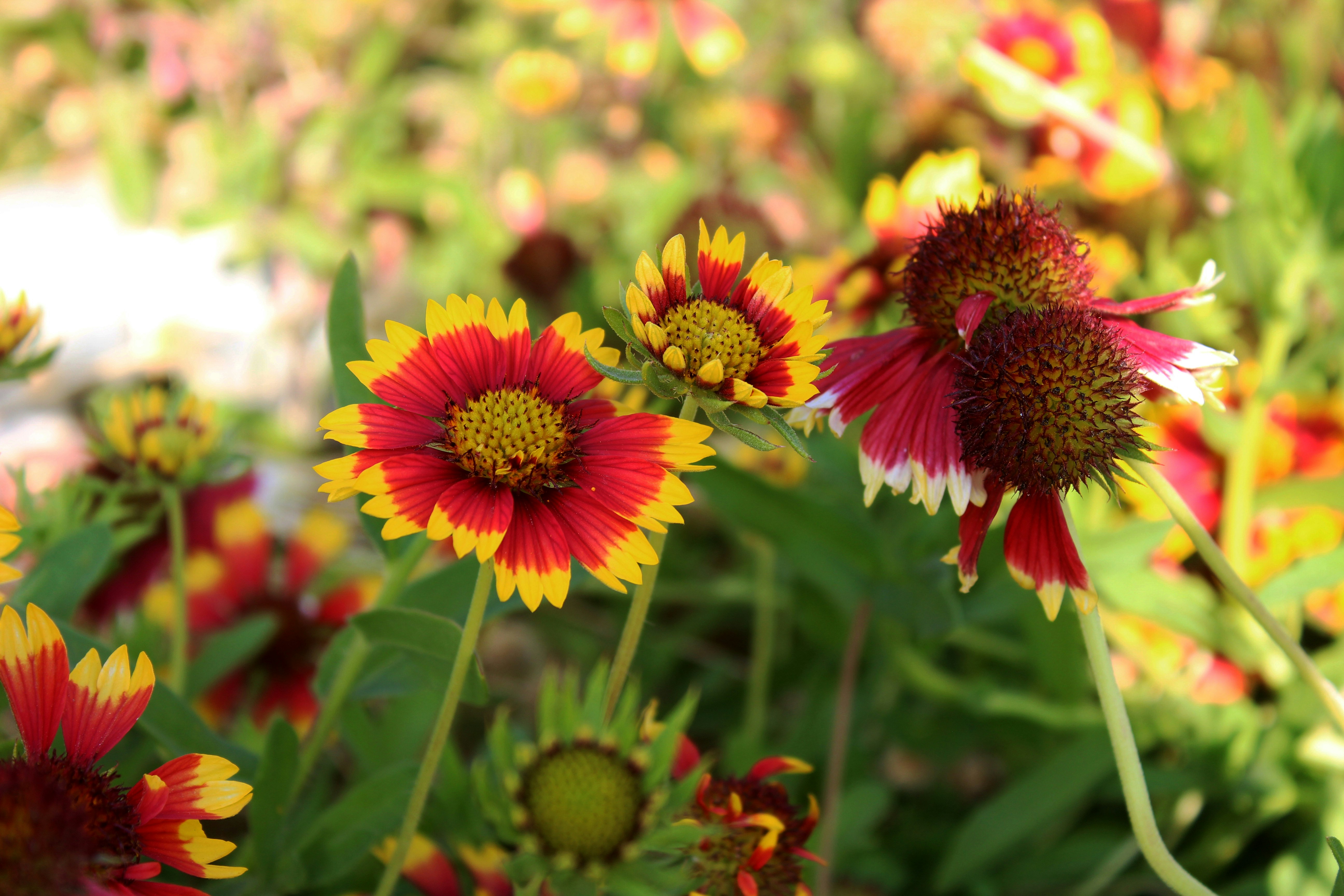 Photo by photo_graph_er