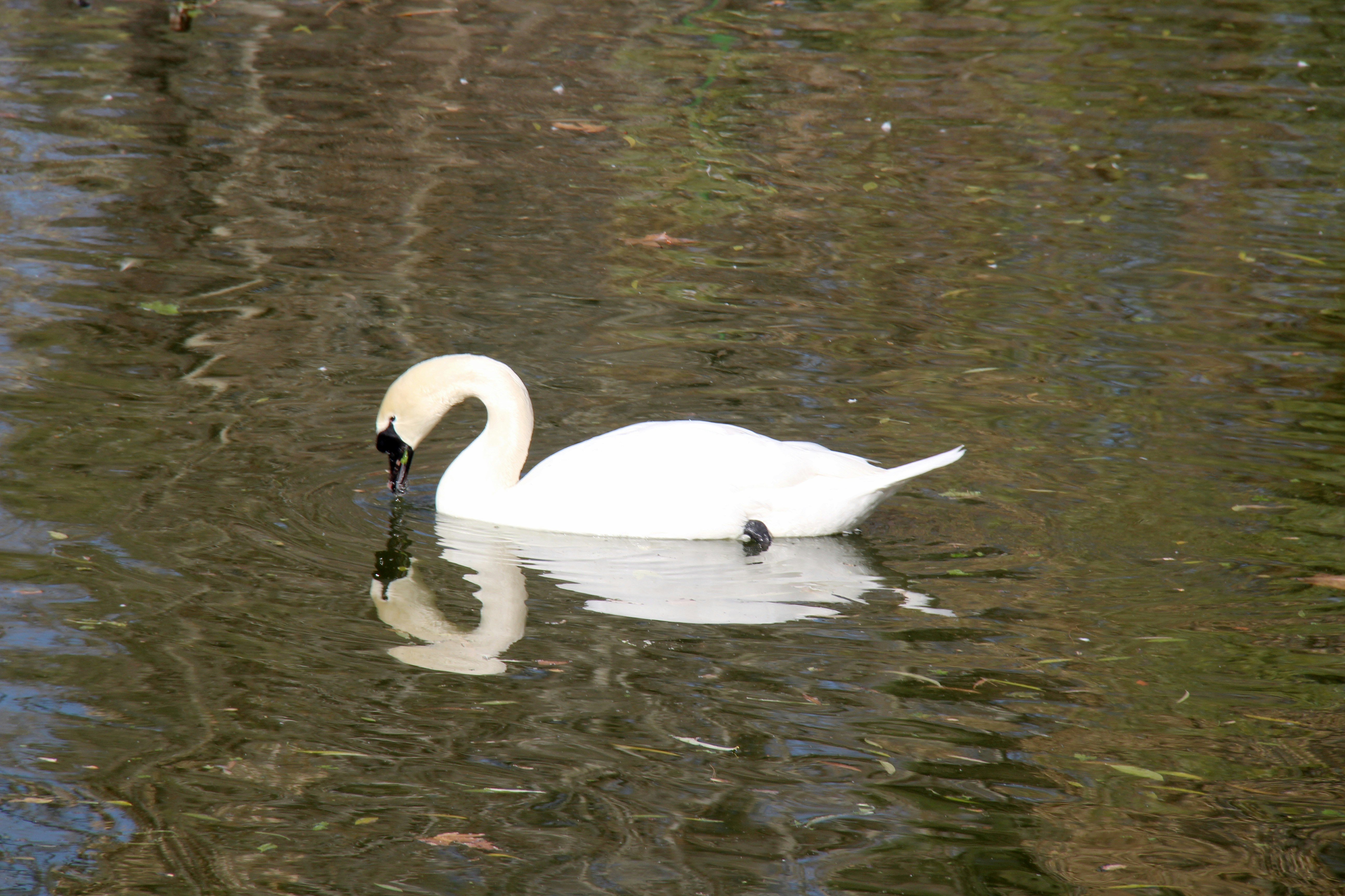 Photo by photo_graph_er