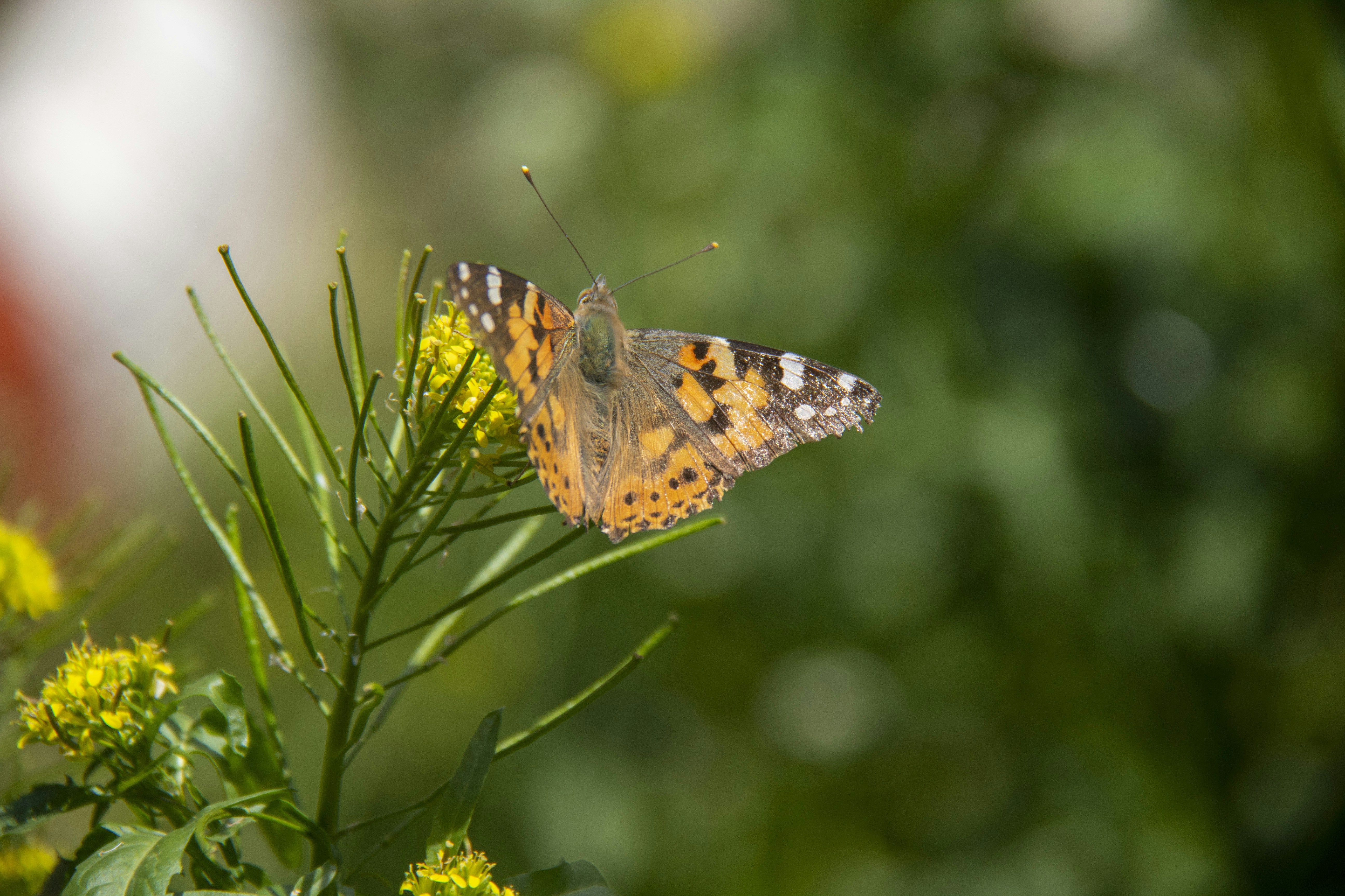 Photo by photo_graph_er