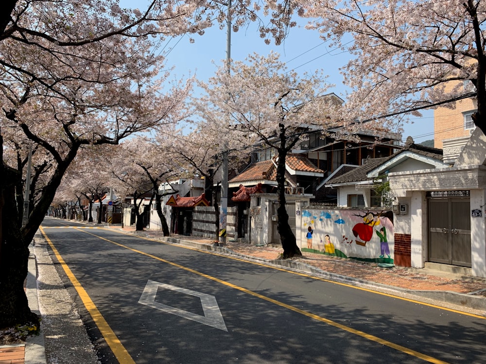 a street lined with trees with pink flowers