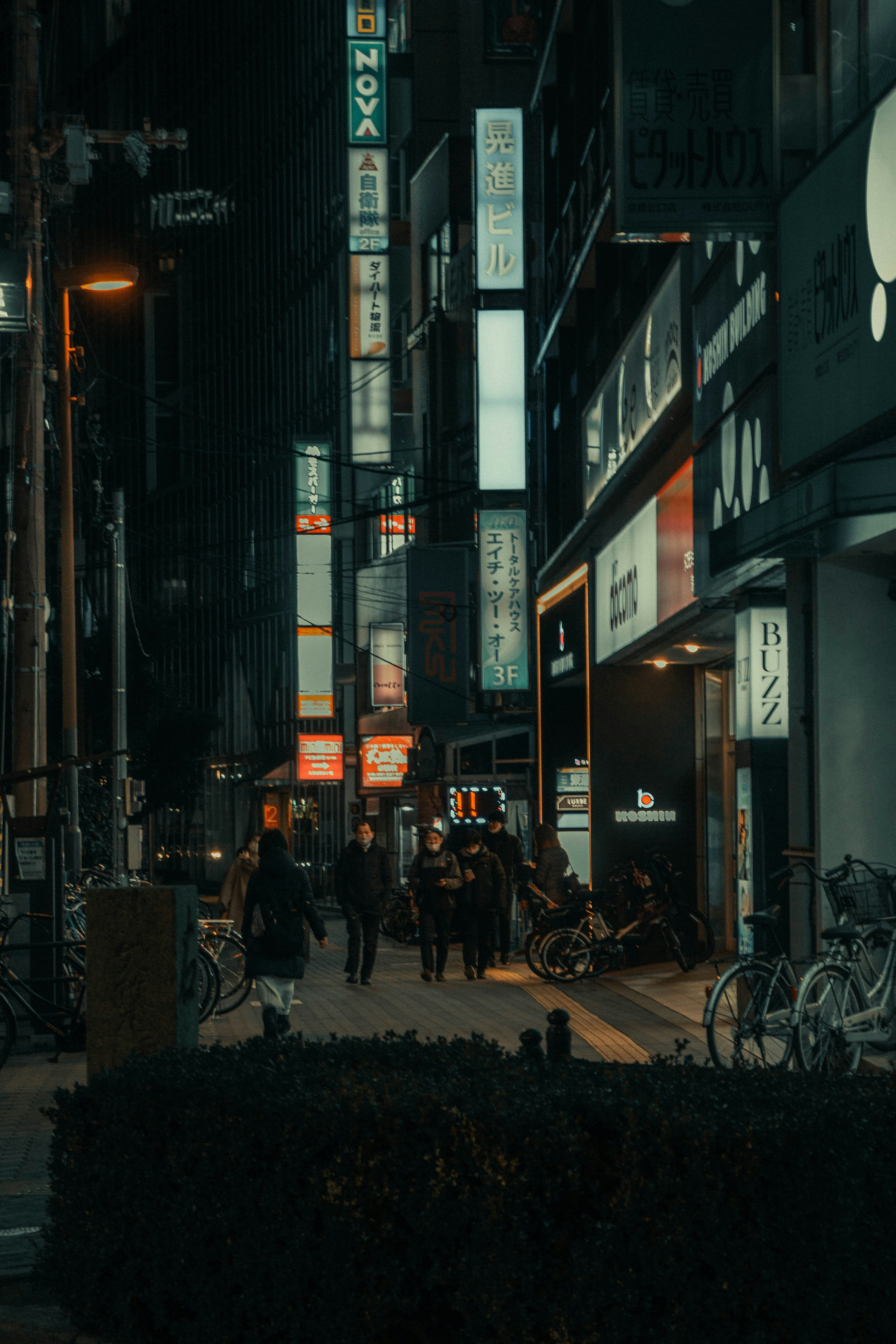 Photo by linweiqiang