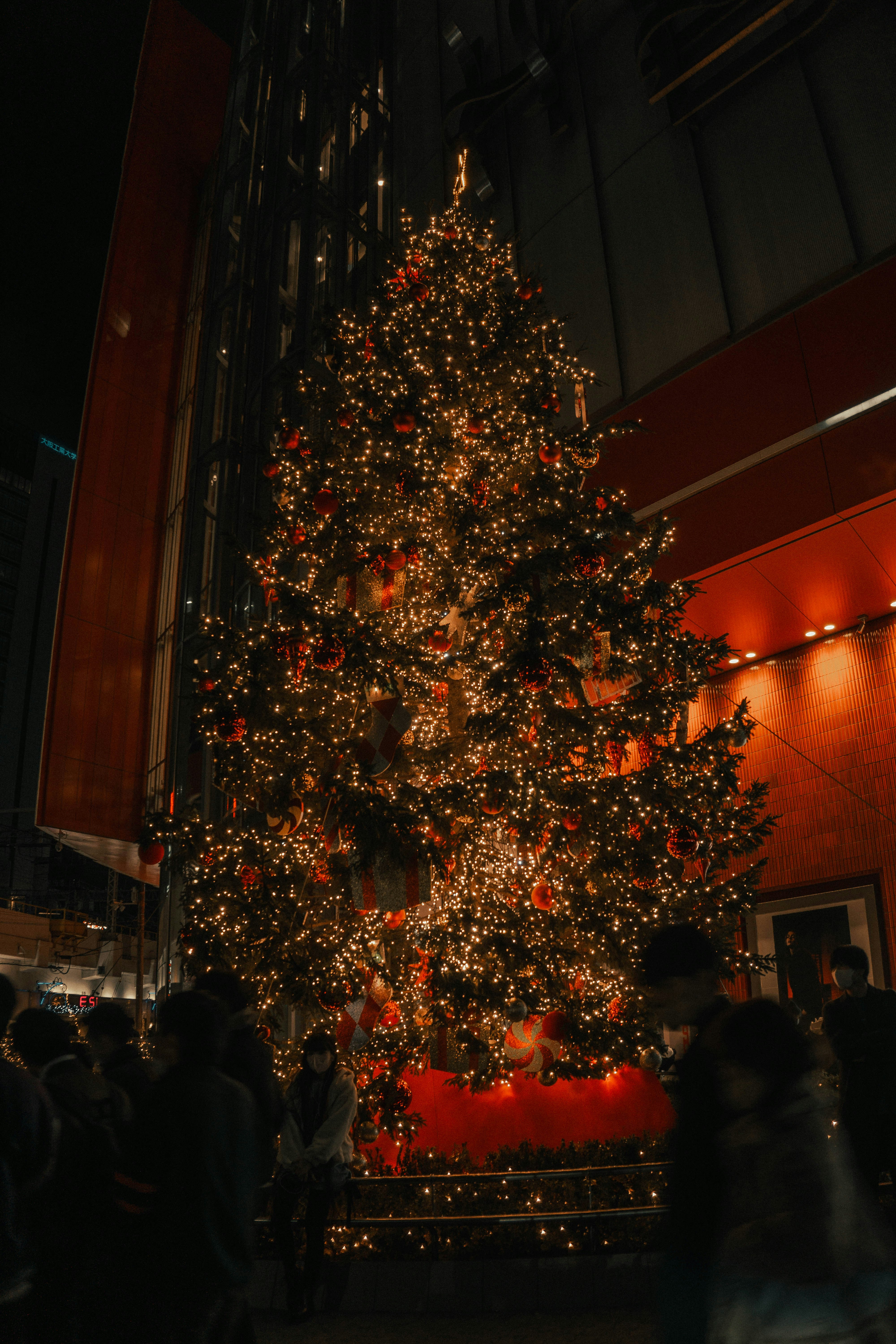 Photo by linweiqiang