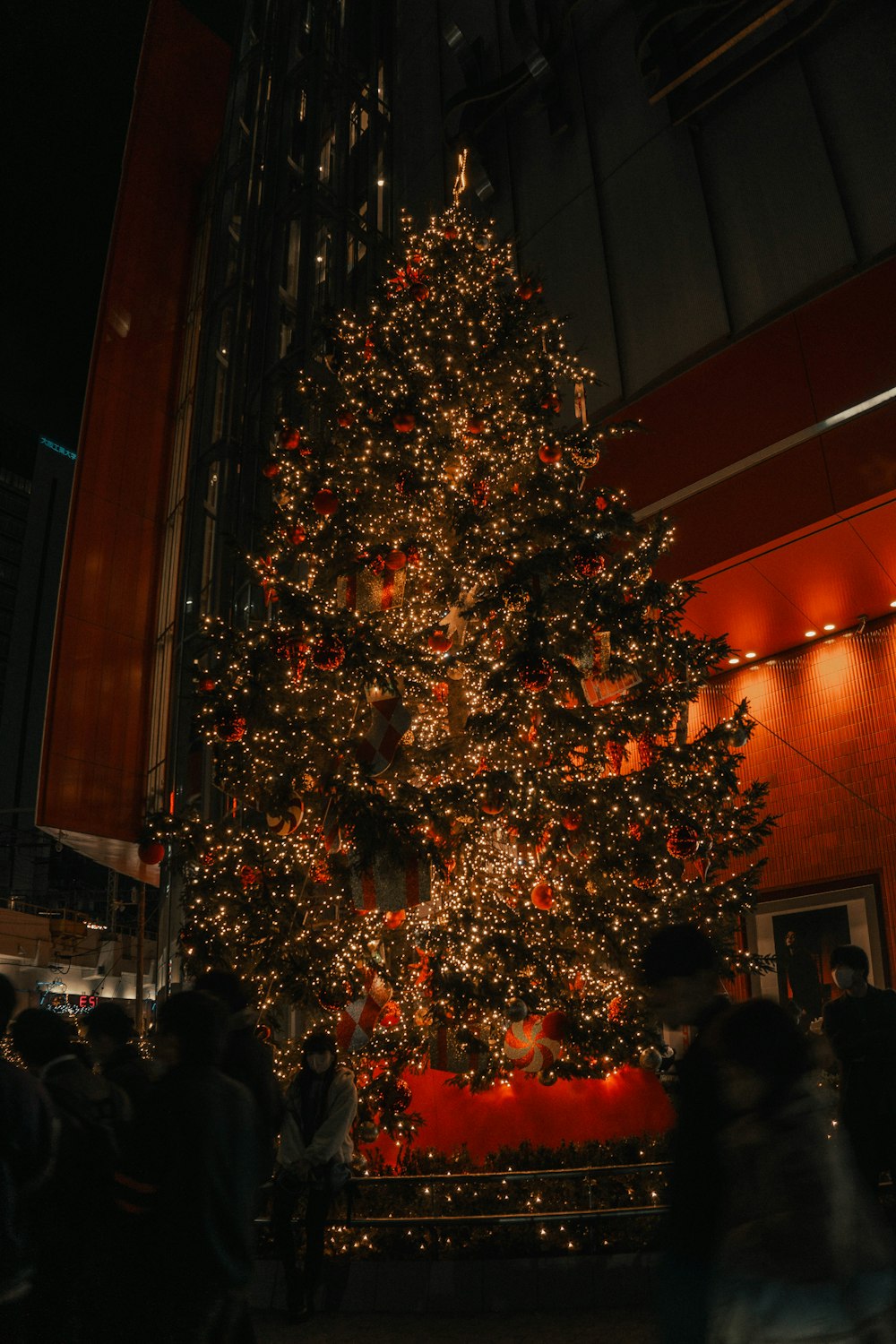 a large christmas tree is lit up at night