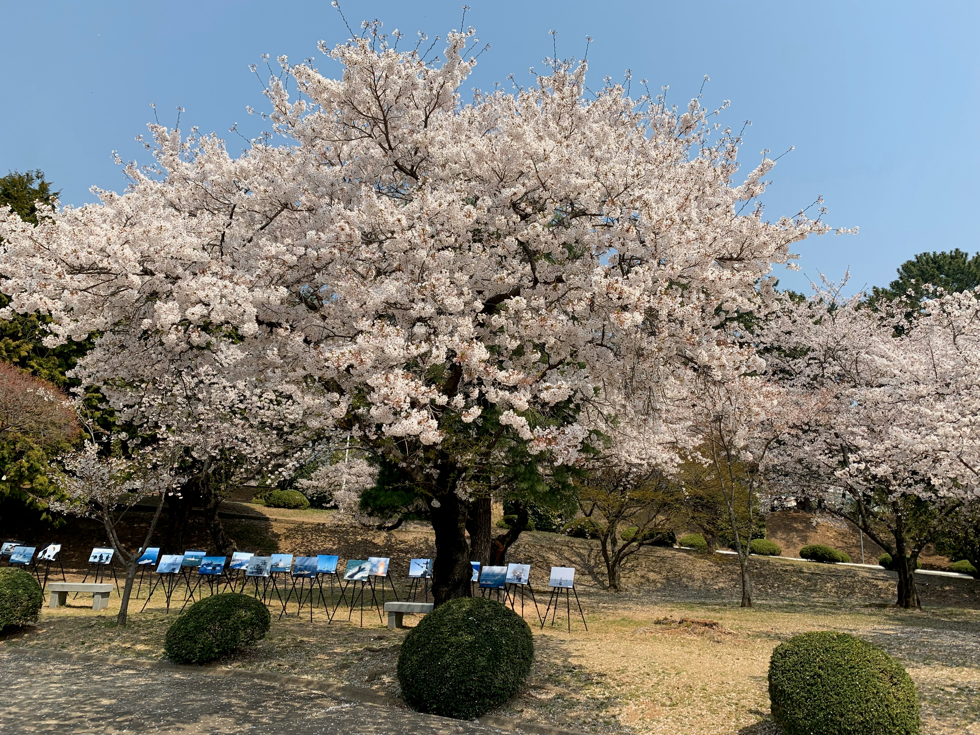 Photo by jeanpierretran