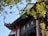 A traditional architectural structure features ornate roof tiles and decorative elements, partially obscured by lush green tree branches and leaves. The sunlight casts highlights on the building, creating a harmonious blend with the natural elements.
