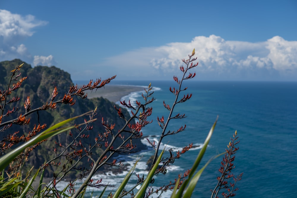 a view of a body of water with a cliff in the background