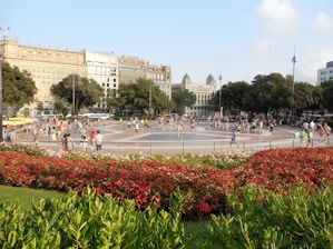 A beautifully designed public square with greenery.