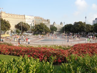 A vibrant public square in Paris redesigned with minimalist urban furniture and greenery.