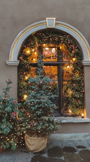 a christmas tree sitting in front of a window