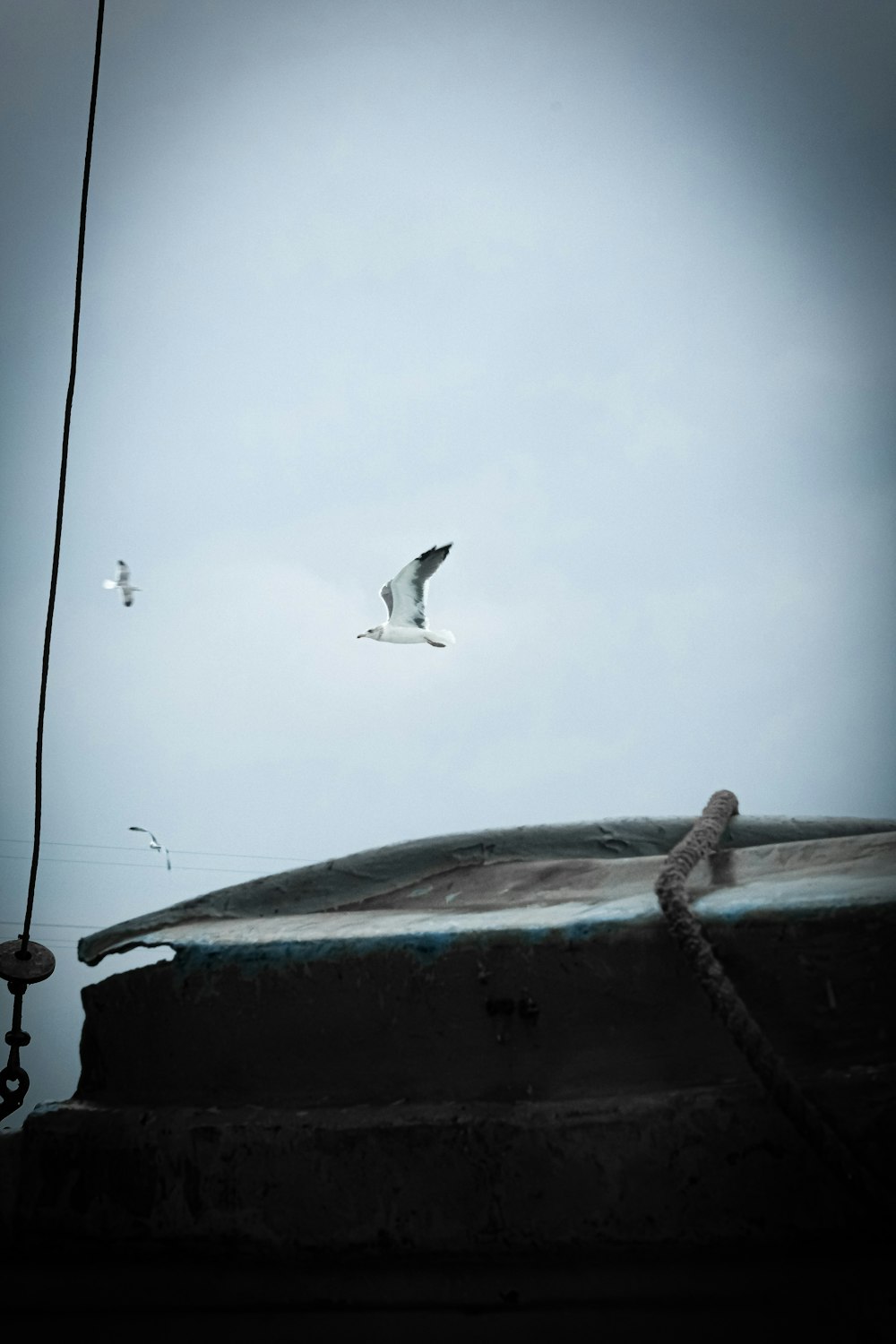 a seagull flying over a boat in the ocean