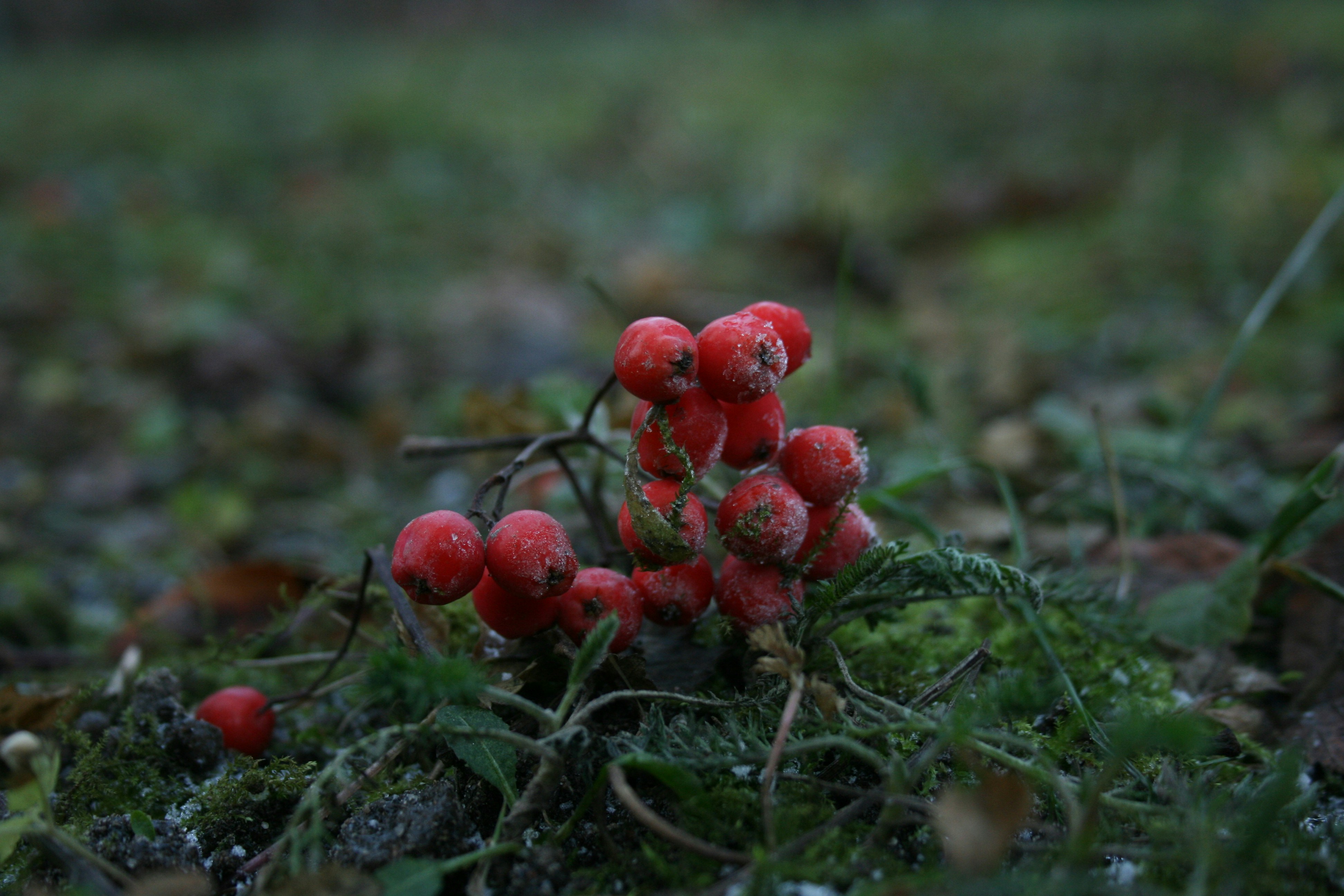 Photo by aknesk