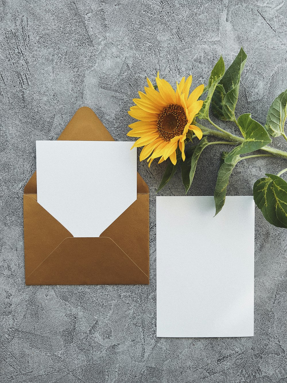 a sunflower and a card on a table