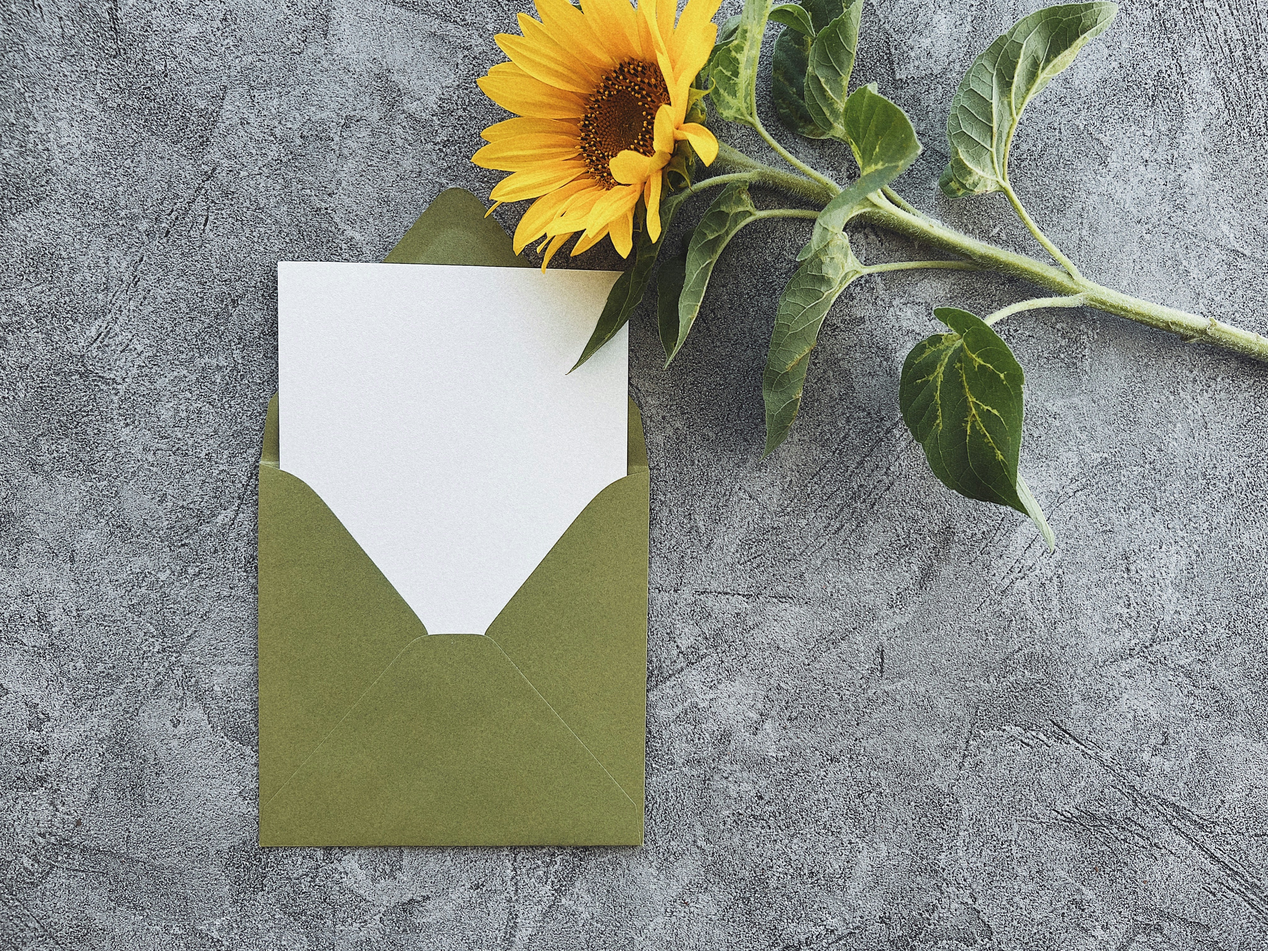 Nature-inspired wedding stationery mockup