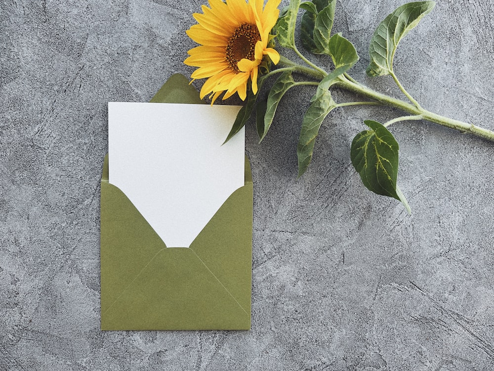 a yellow sunflower sitting on top of a piece of paper