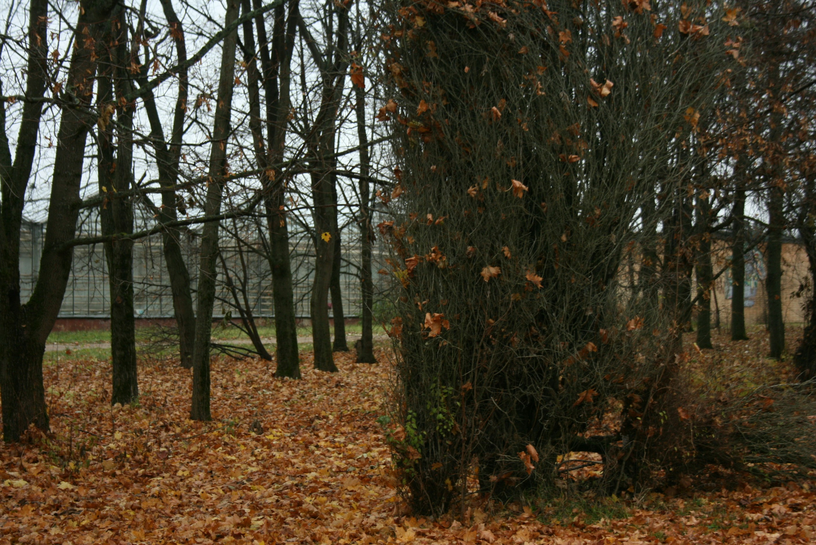Photo by aknesk