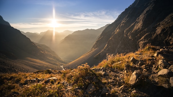 Sunrise over ancestral mountains with silhouettes of native plants in foreground.