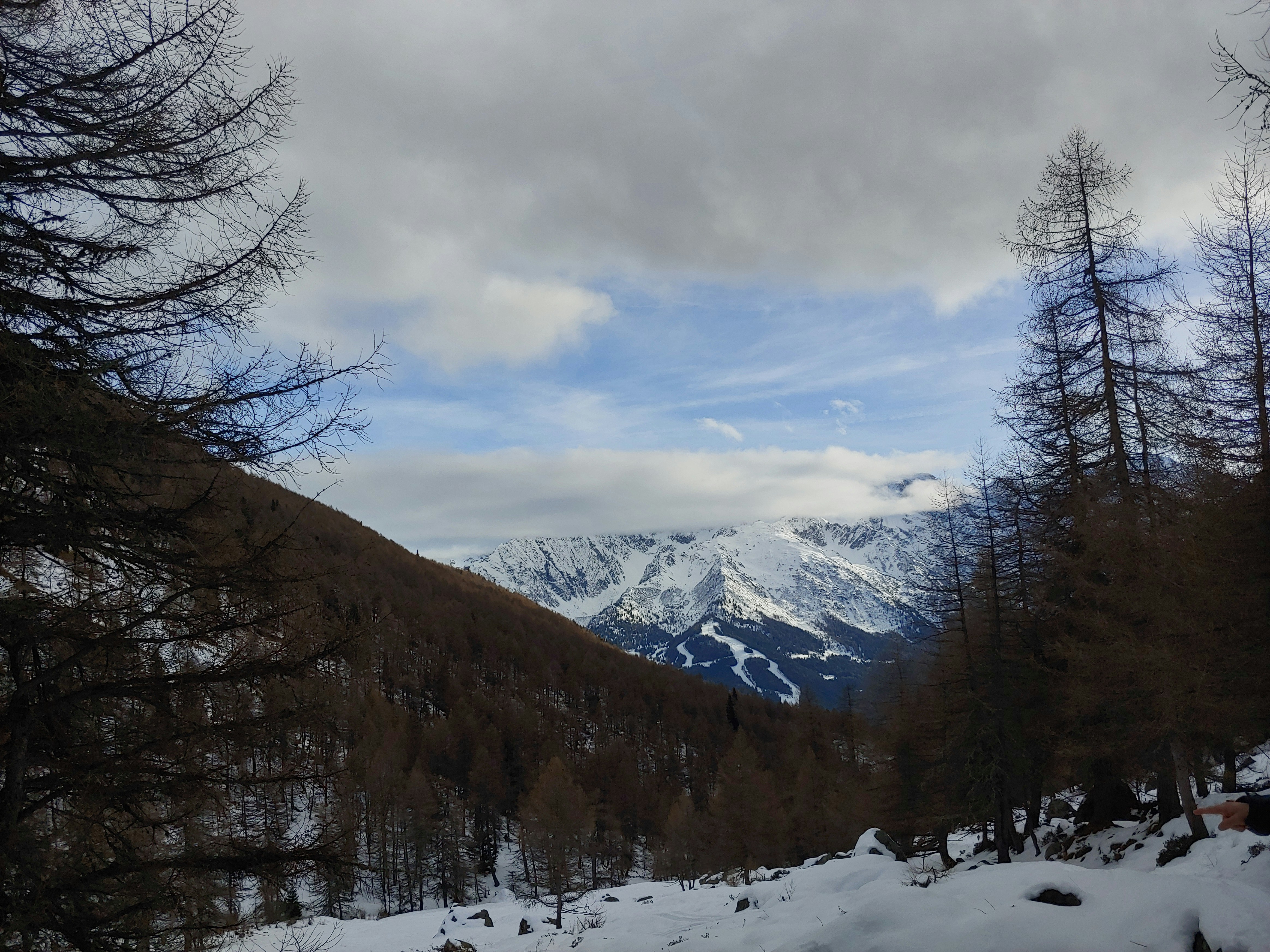Photo by darione