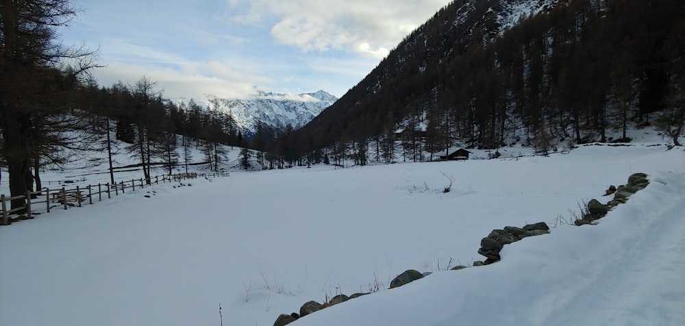 um campo coberto de neve com uma montanha ao fundo