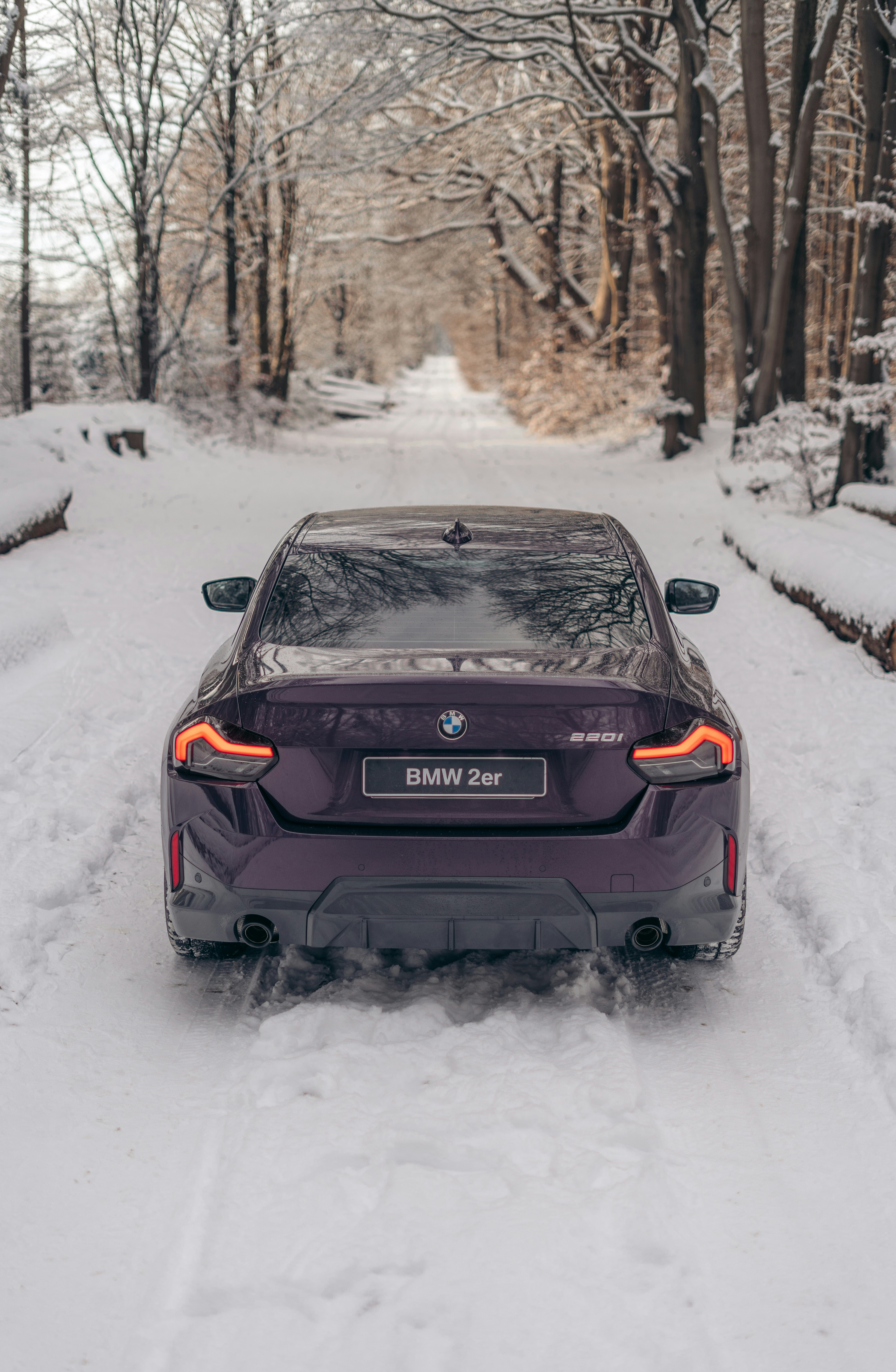 Photo by len_graphics