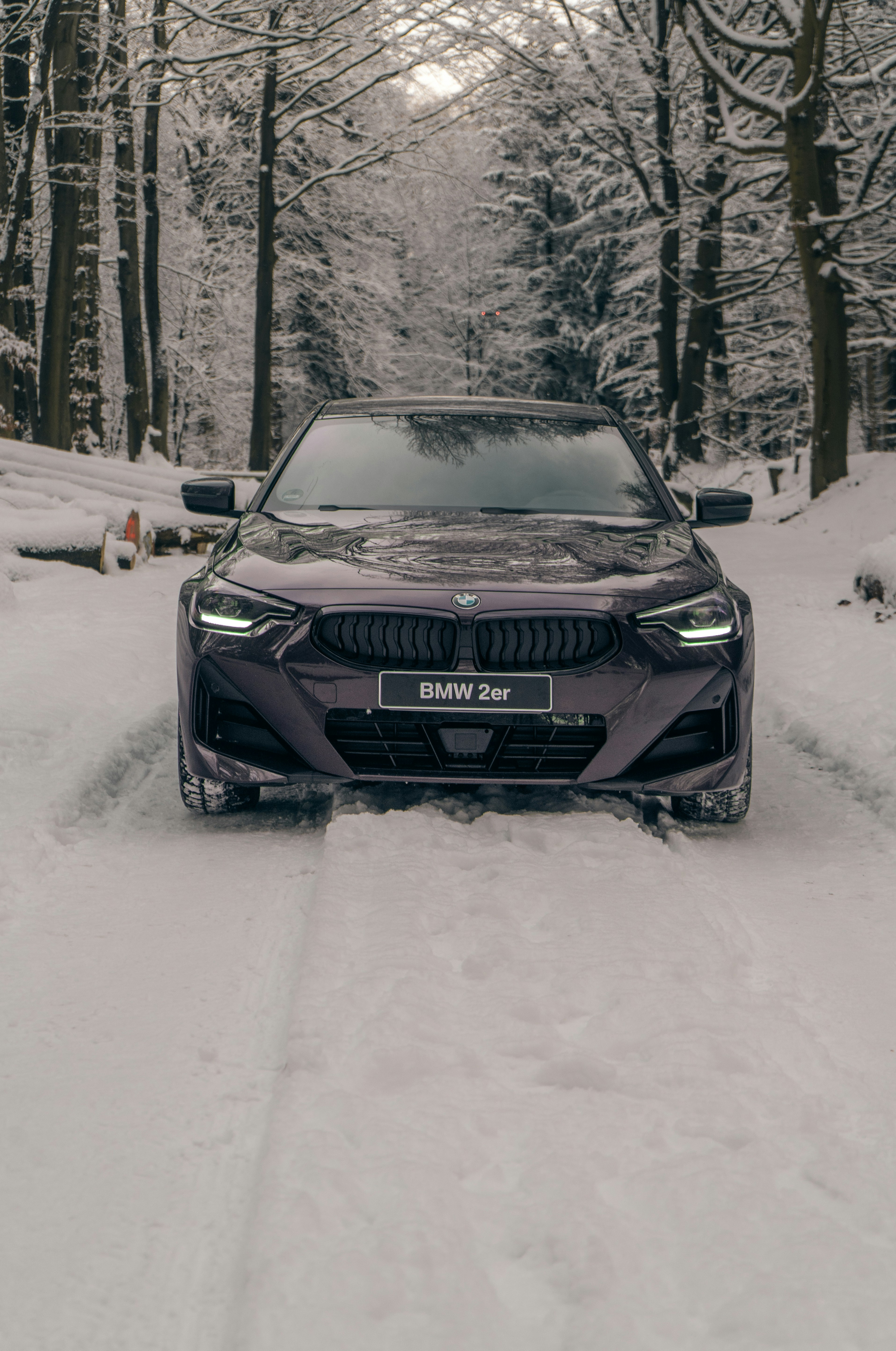 Photo by len_graphics