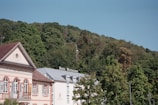 A picturesque view of a small hotel nestled among lush, green trees with a backdrop of a forested hill. The hotel's facade features a classic European architectural style with muted colors and decorative elements. The sky above is clear and blue.