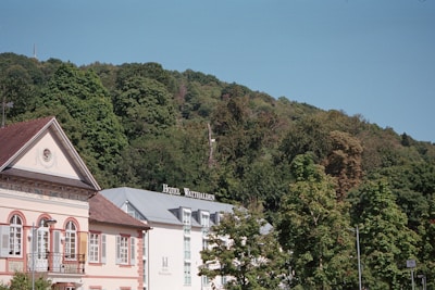 A picturesque view of a small hotel nestled among lush, green trees with a backdrop of a forested hill. The hotel's facade features a classic European architectural style with muted colors and decorative elements. The sky above is clear and blue.