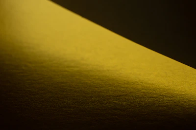 Softly lit photograph of a textured surface with delicate golden highlights.