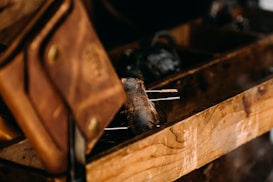 A close-up of a rustic wooden tool box containing leather crafting tools, including a brown leather sheath and a piece of leather with several metal needles protruding from it.