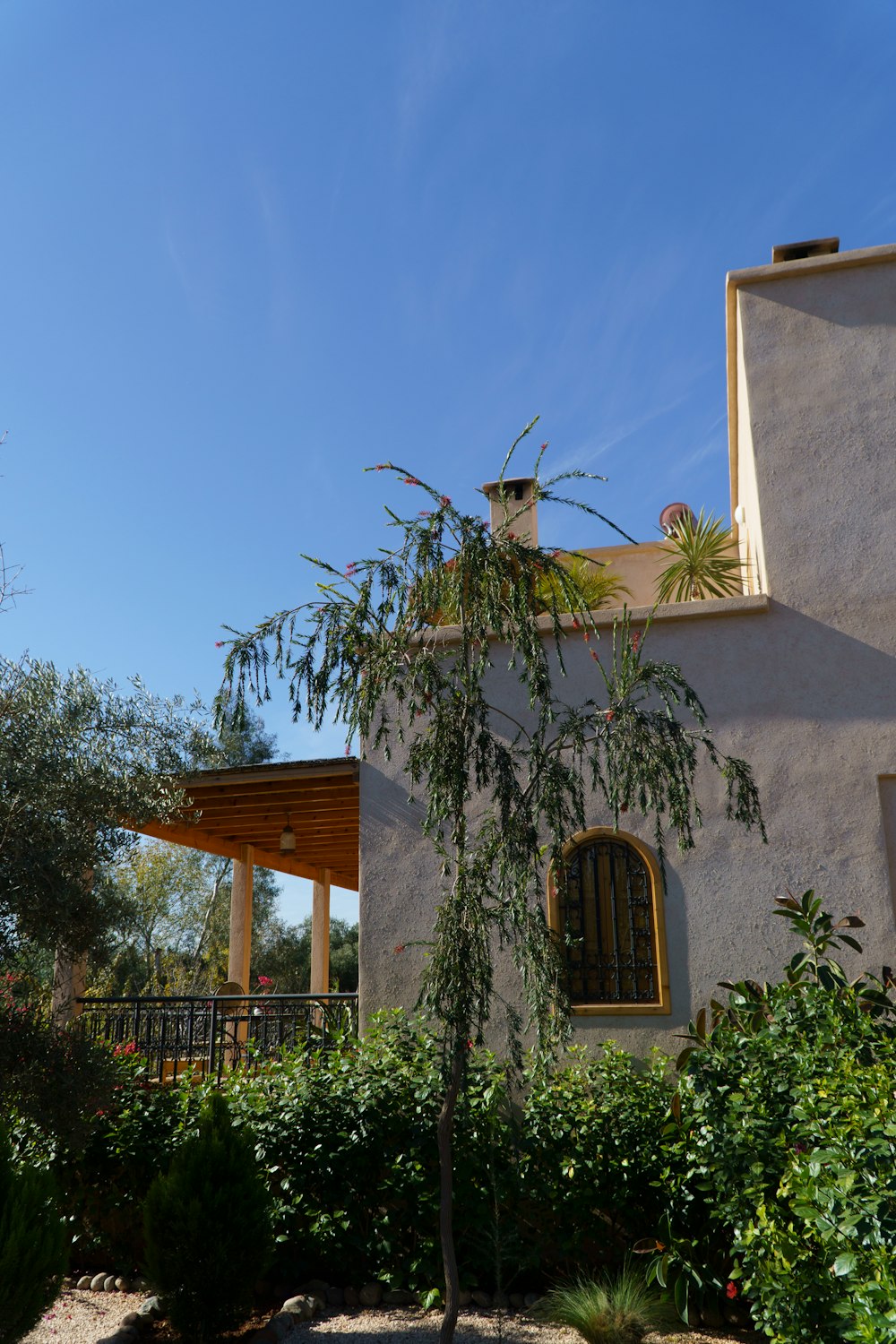 Una casa con un árbol frente a ella