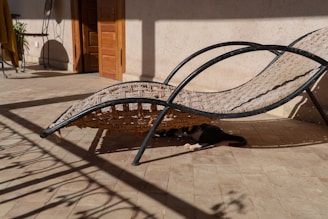 A woven lounger is positioned in an outdoor space with sunlight casting strong shadows across the floor and the chair. A black and white cat is lying underneath the lounger, partially visible and enjoying the shade. The surroundings include a doorway with a wooden door and a small table with a plant.