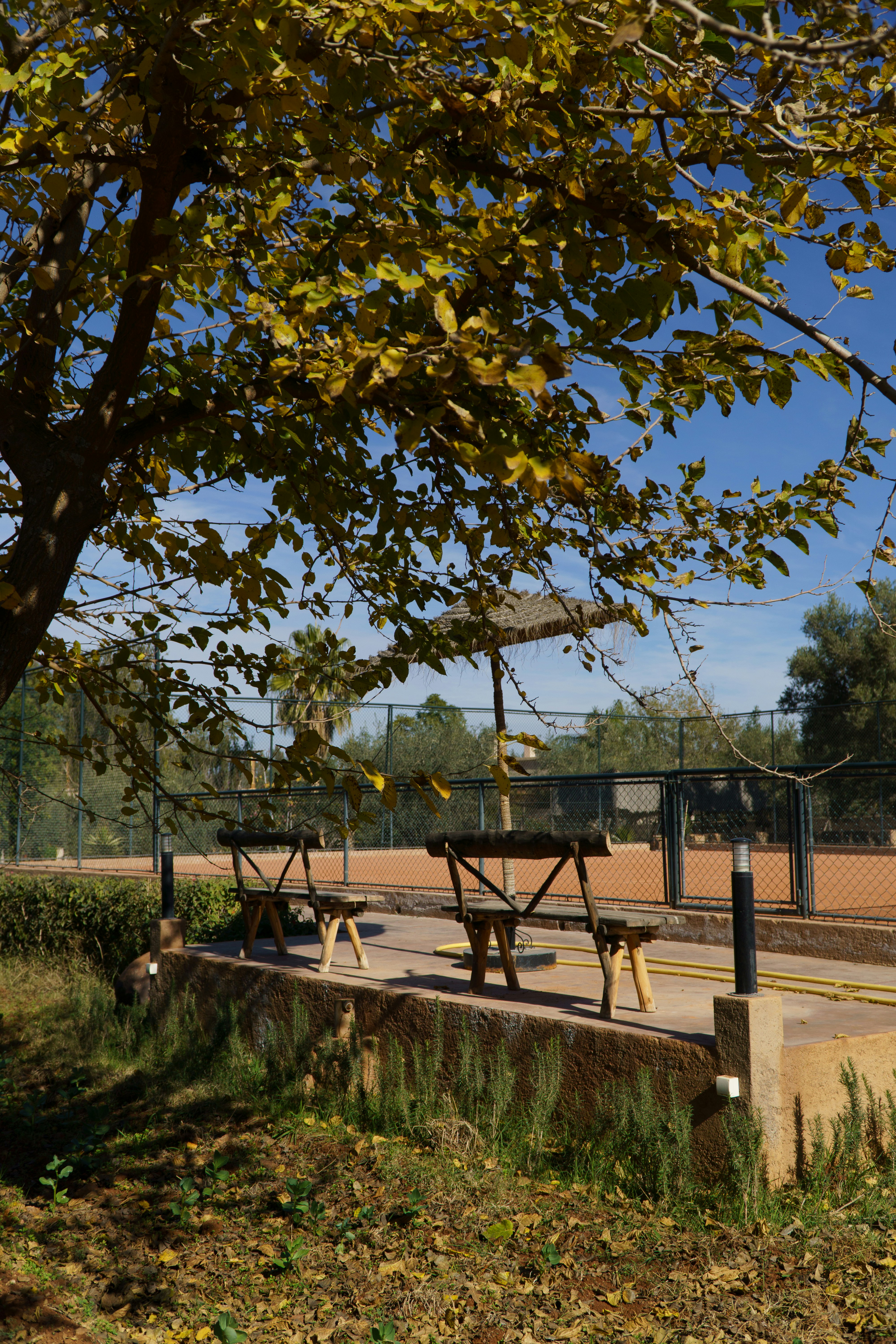 a picnic table under a tree in a park