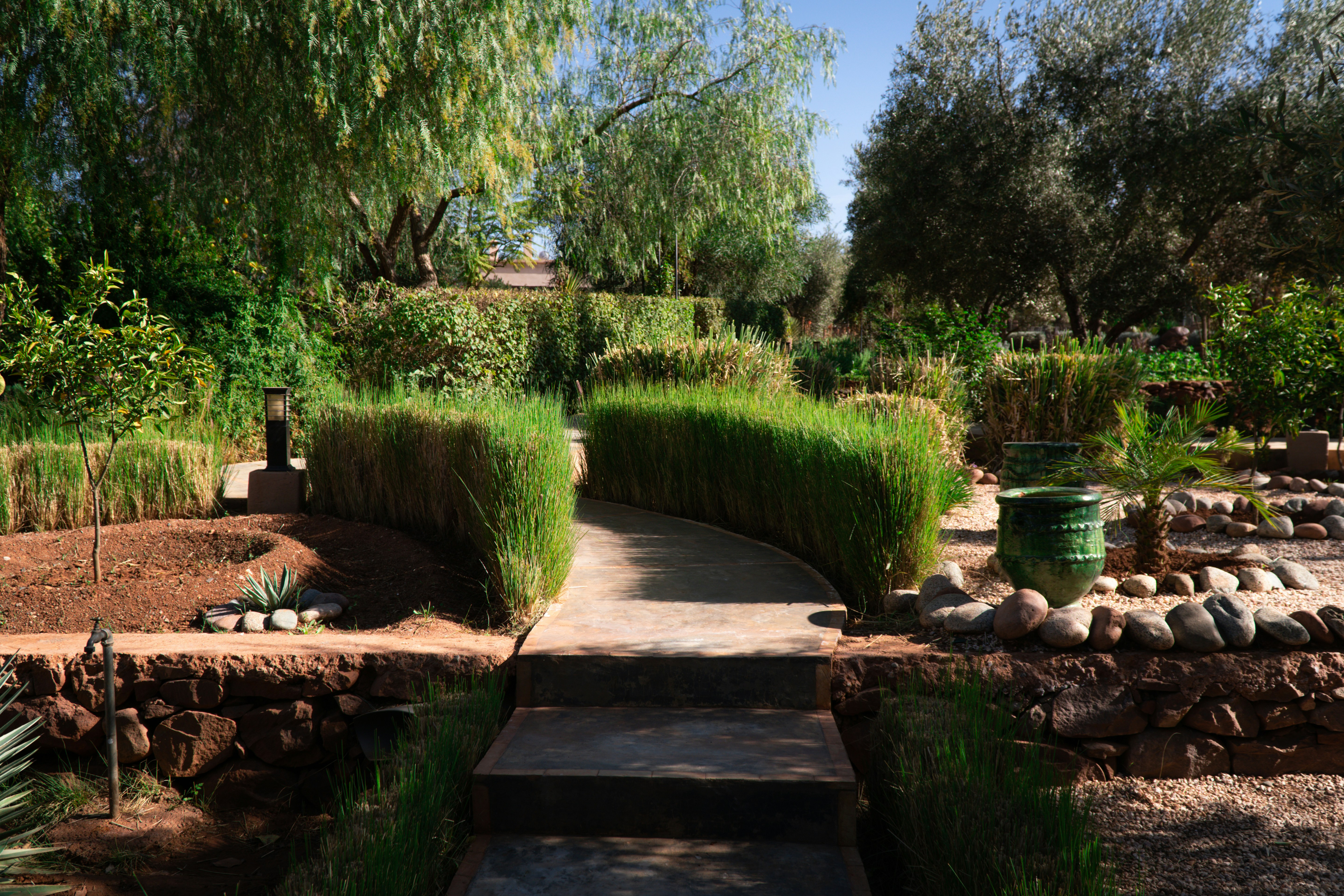 a pathway leading to a lush green garden