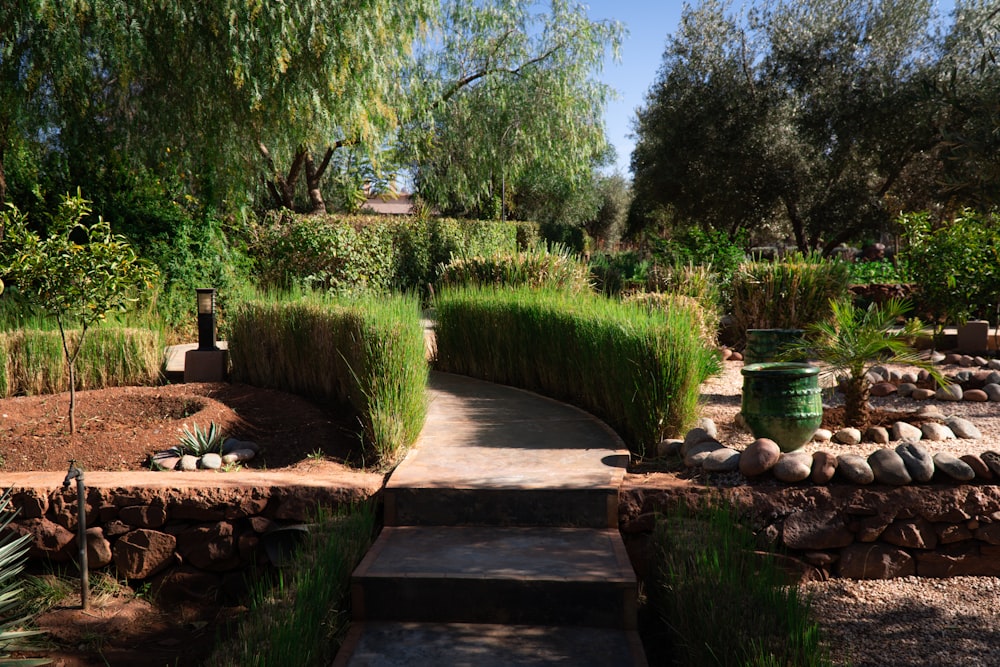 a pathway leading to a lush green garden