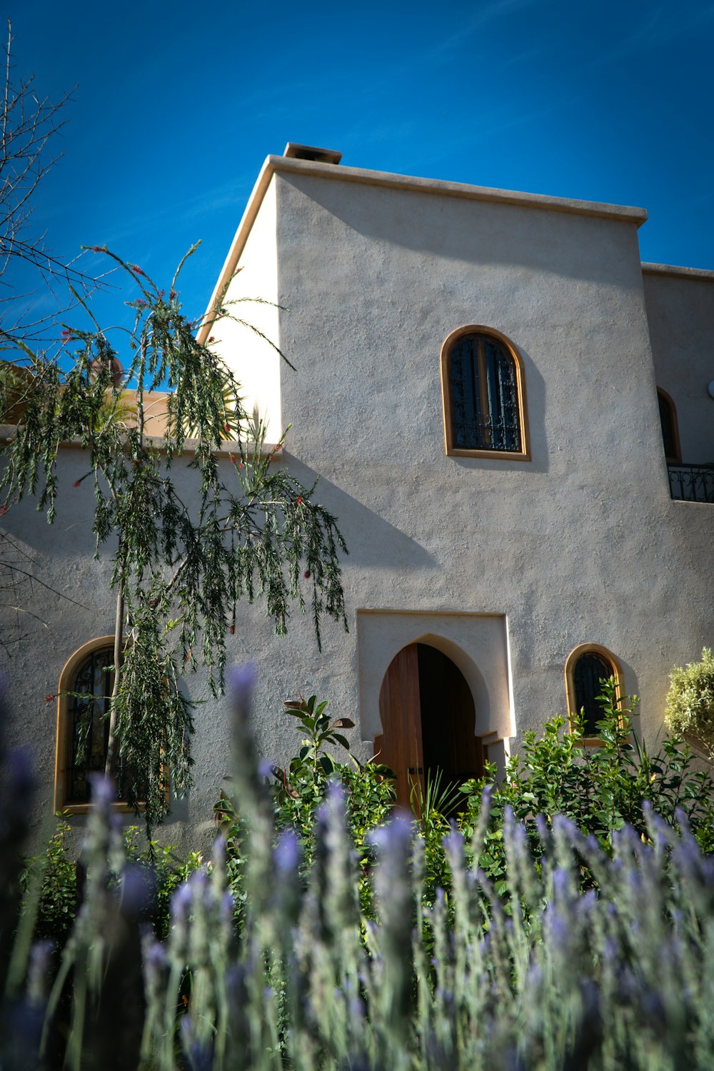 a house with a lot of plants in front of it