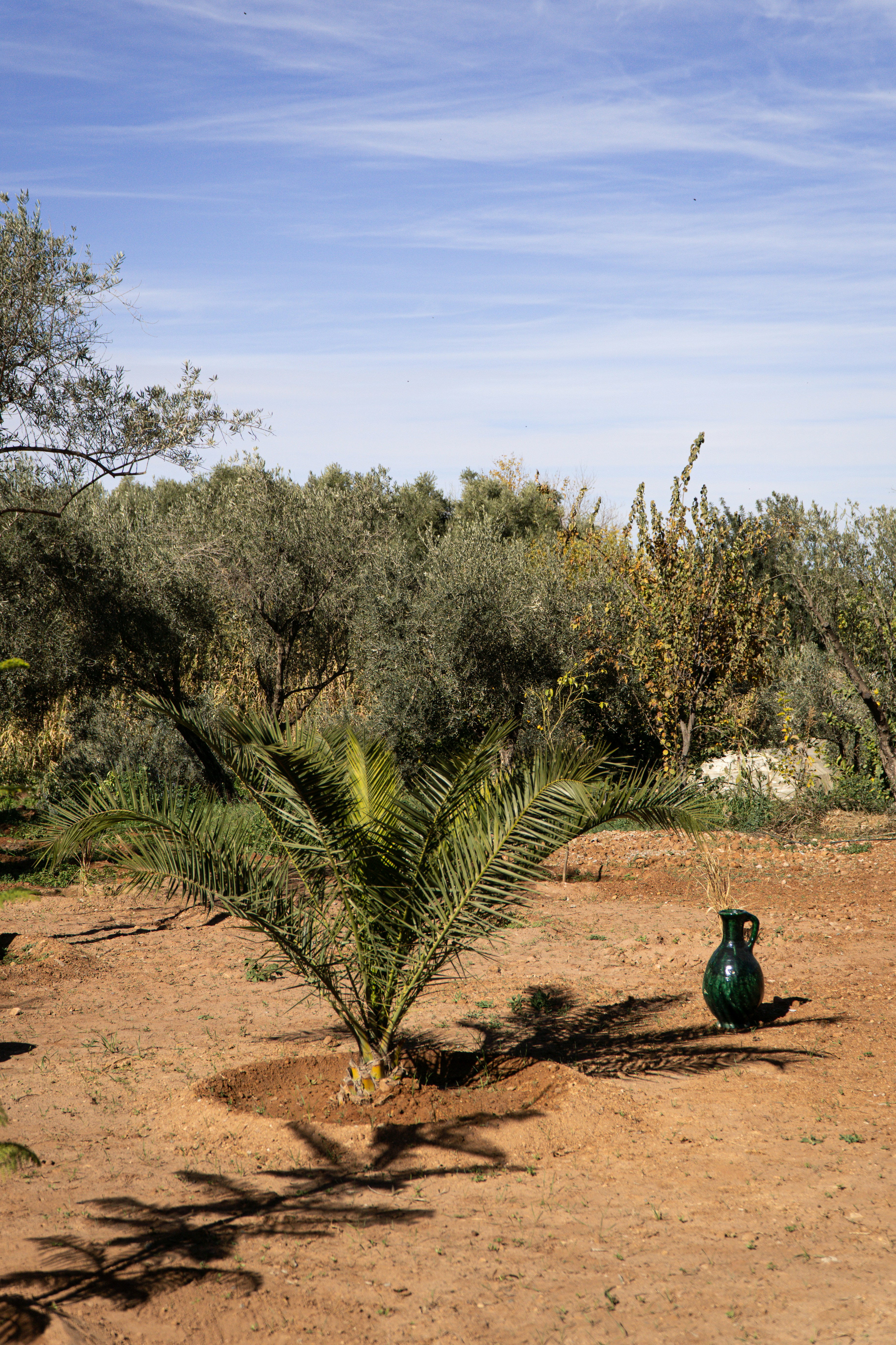 a green vase sitting on top of a dirt field