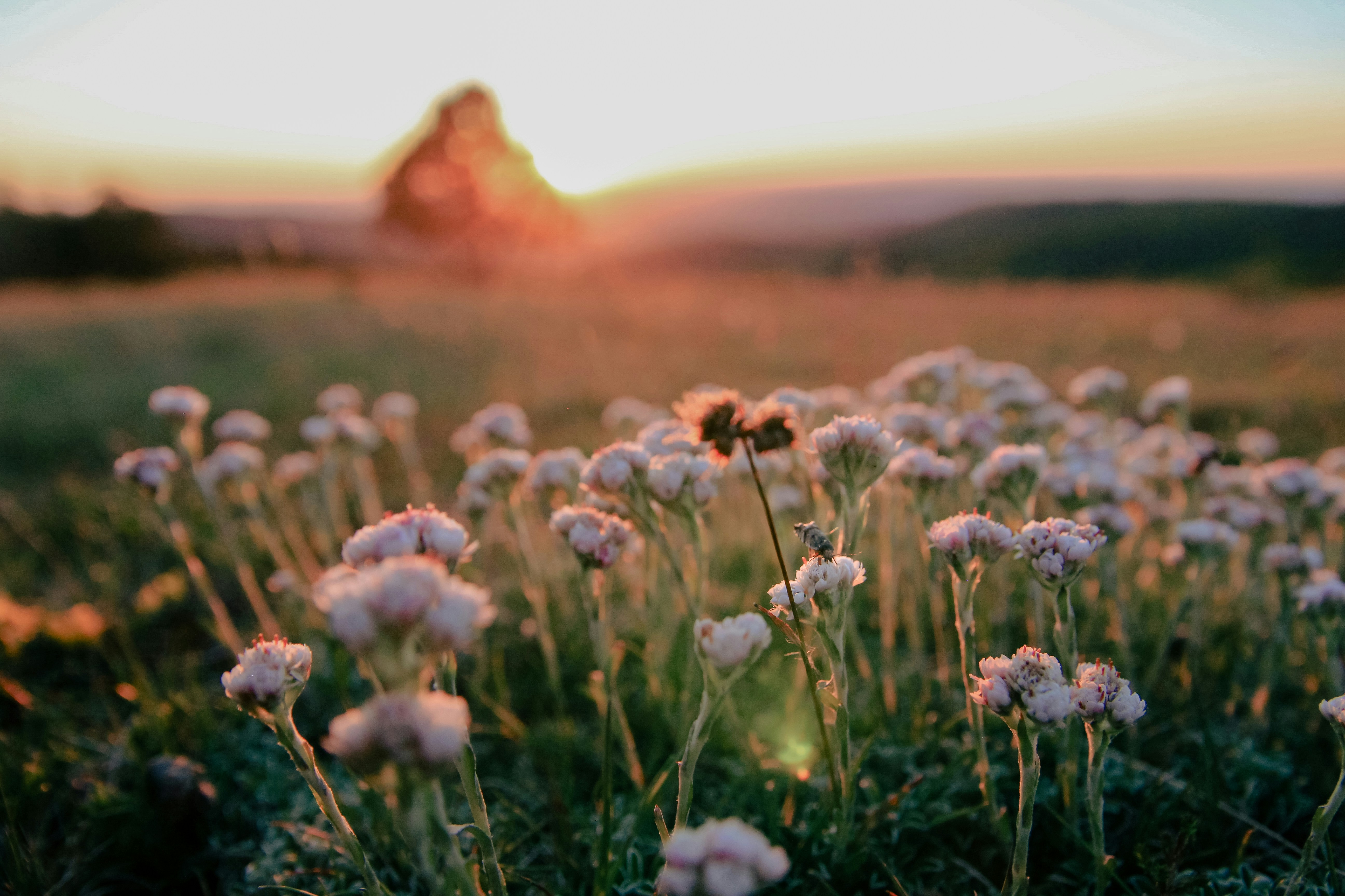 Photo by rosaliegdy