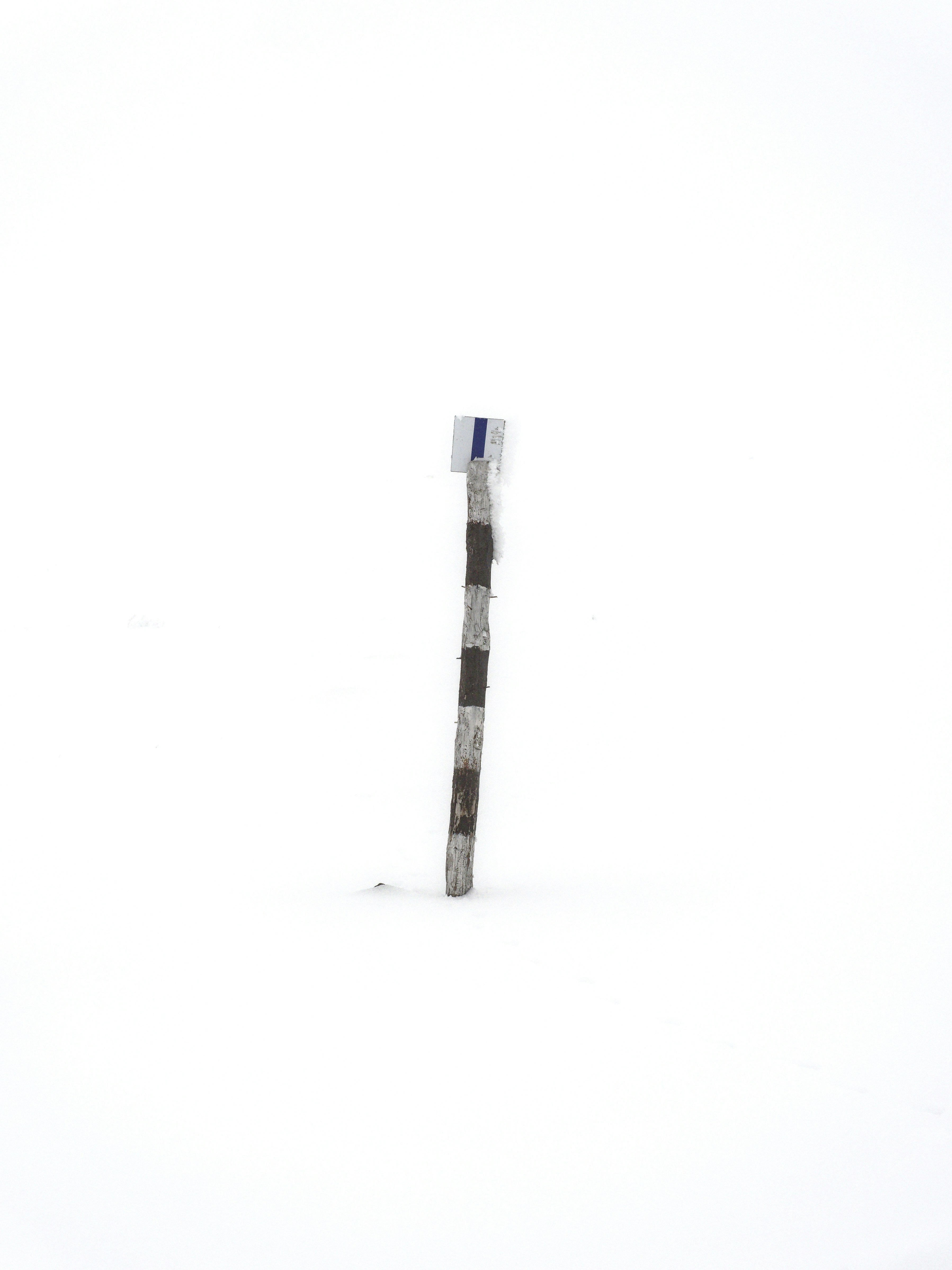 Photo by illes_cristi