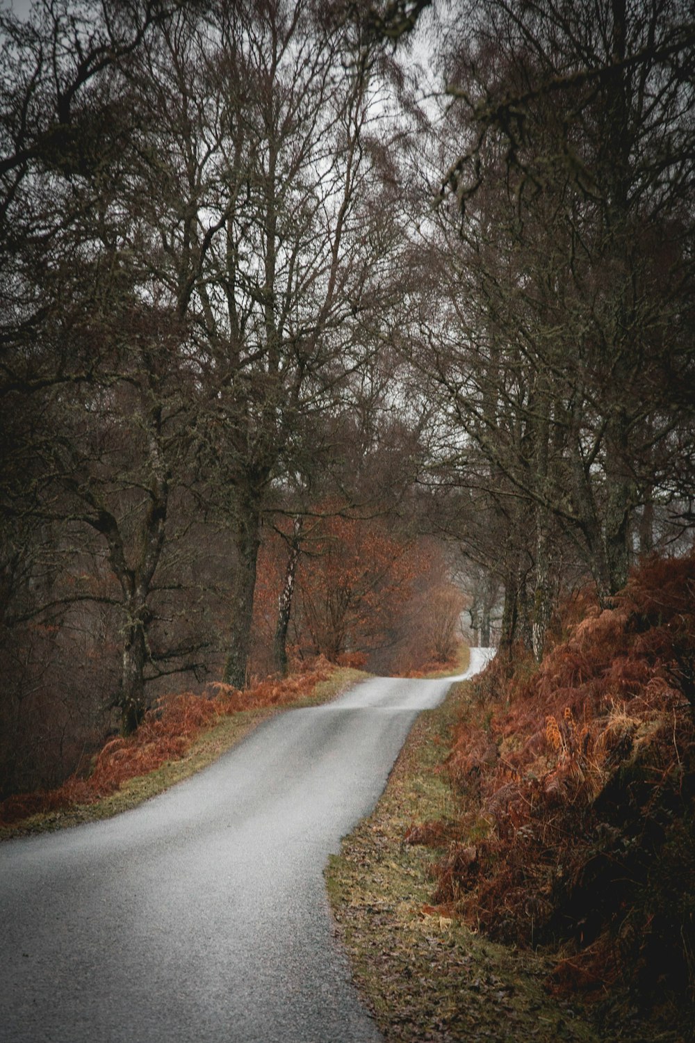 an empty road in the middle of a wooded area