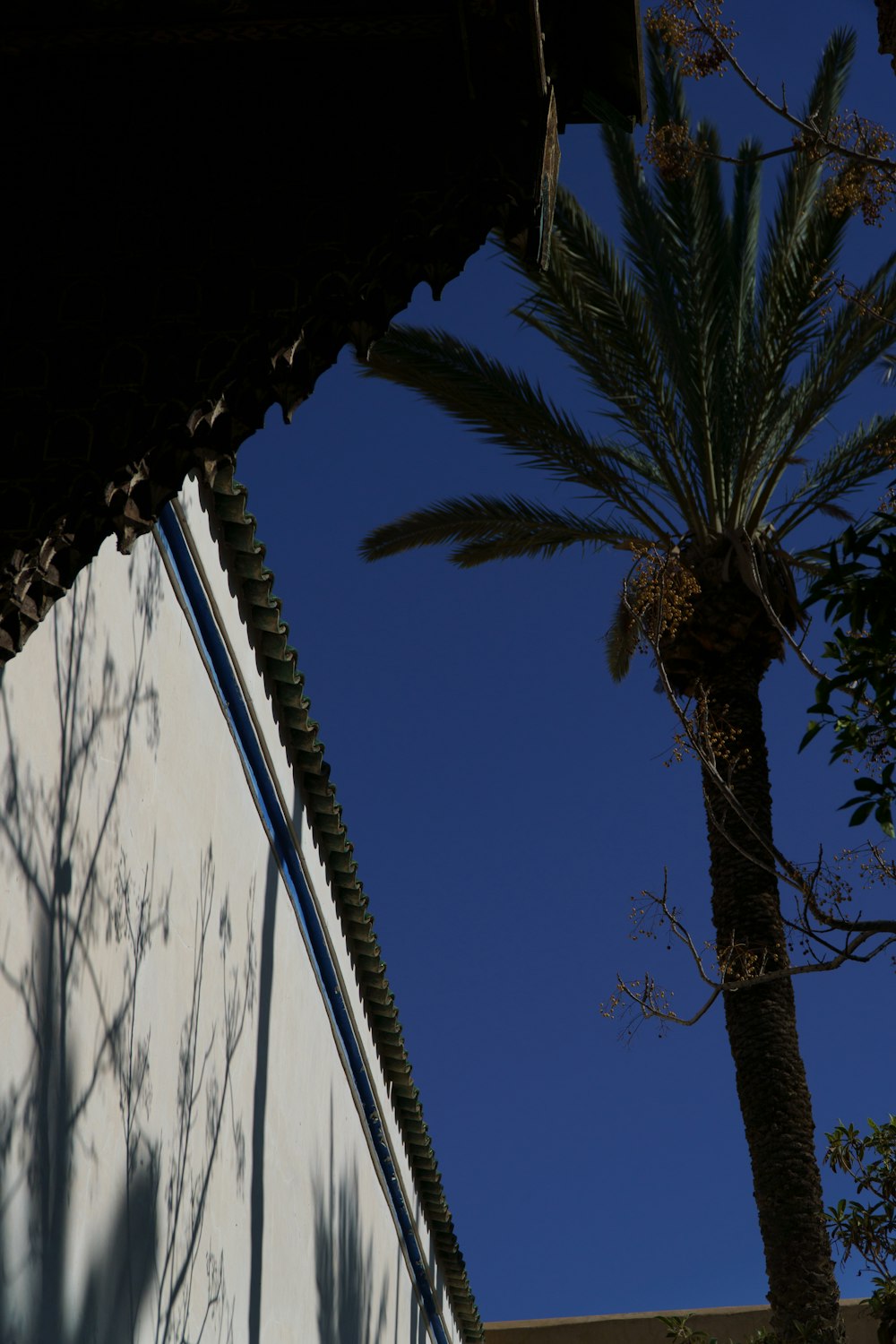 a building with a palm tree in front of it