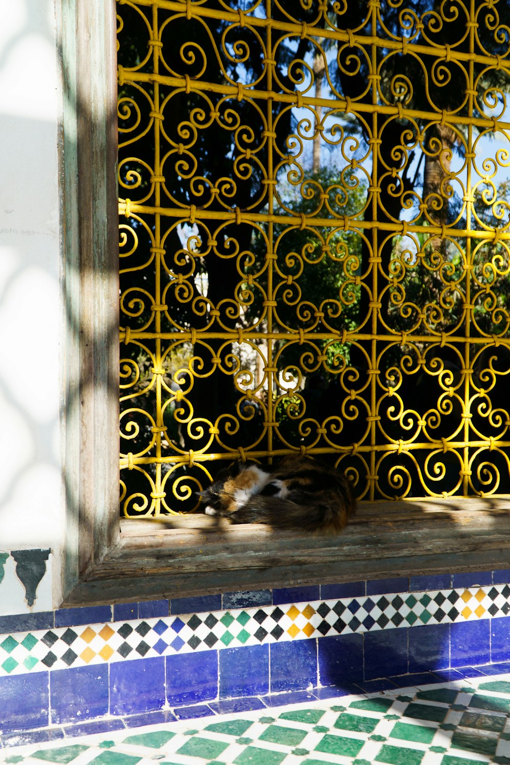 a dog laying on a tiled floor in front of a window