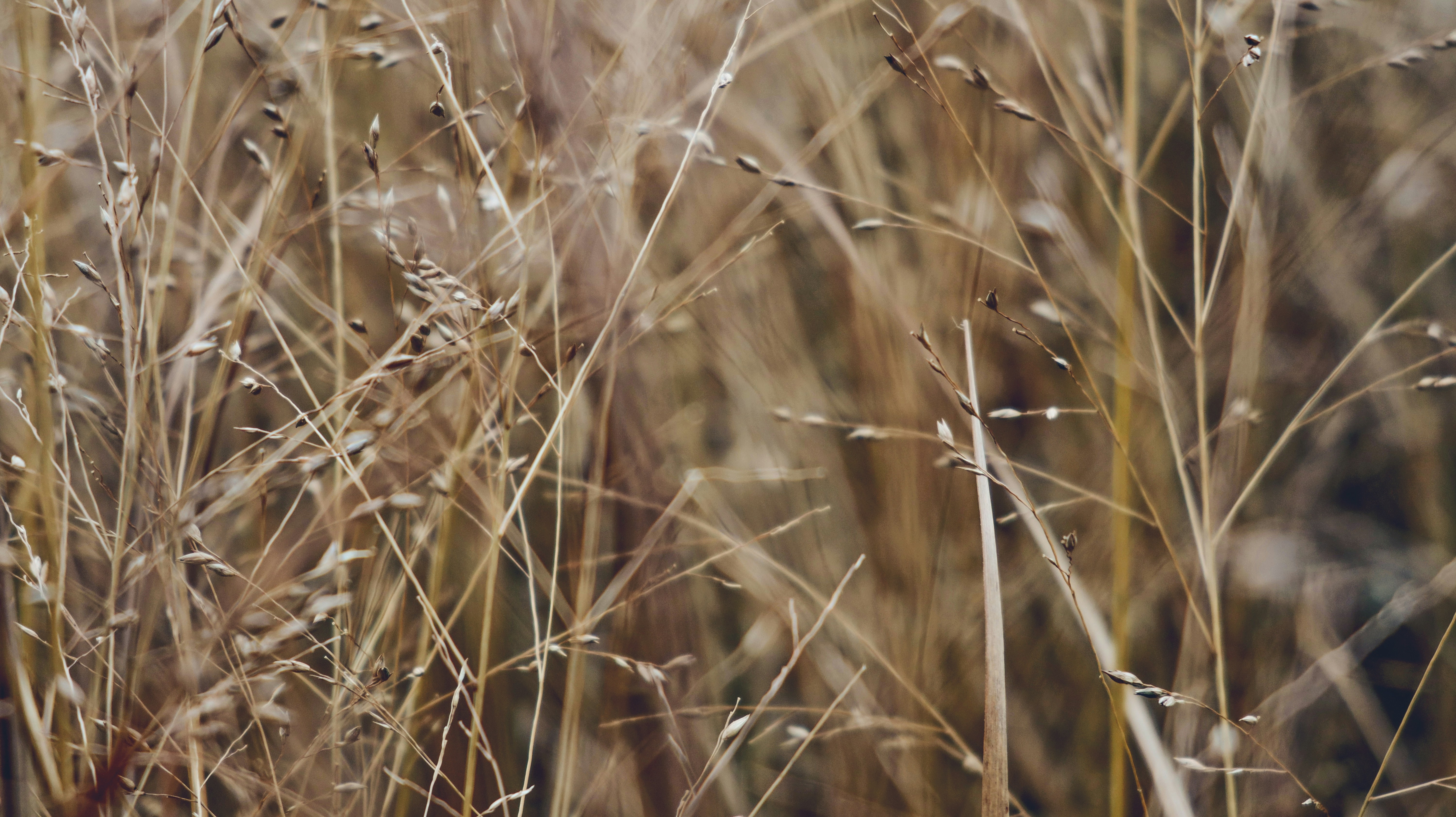 Photo by tolikrurac82