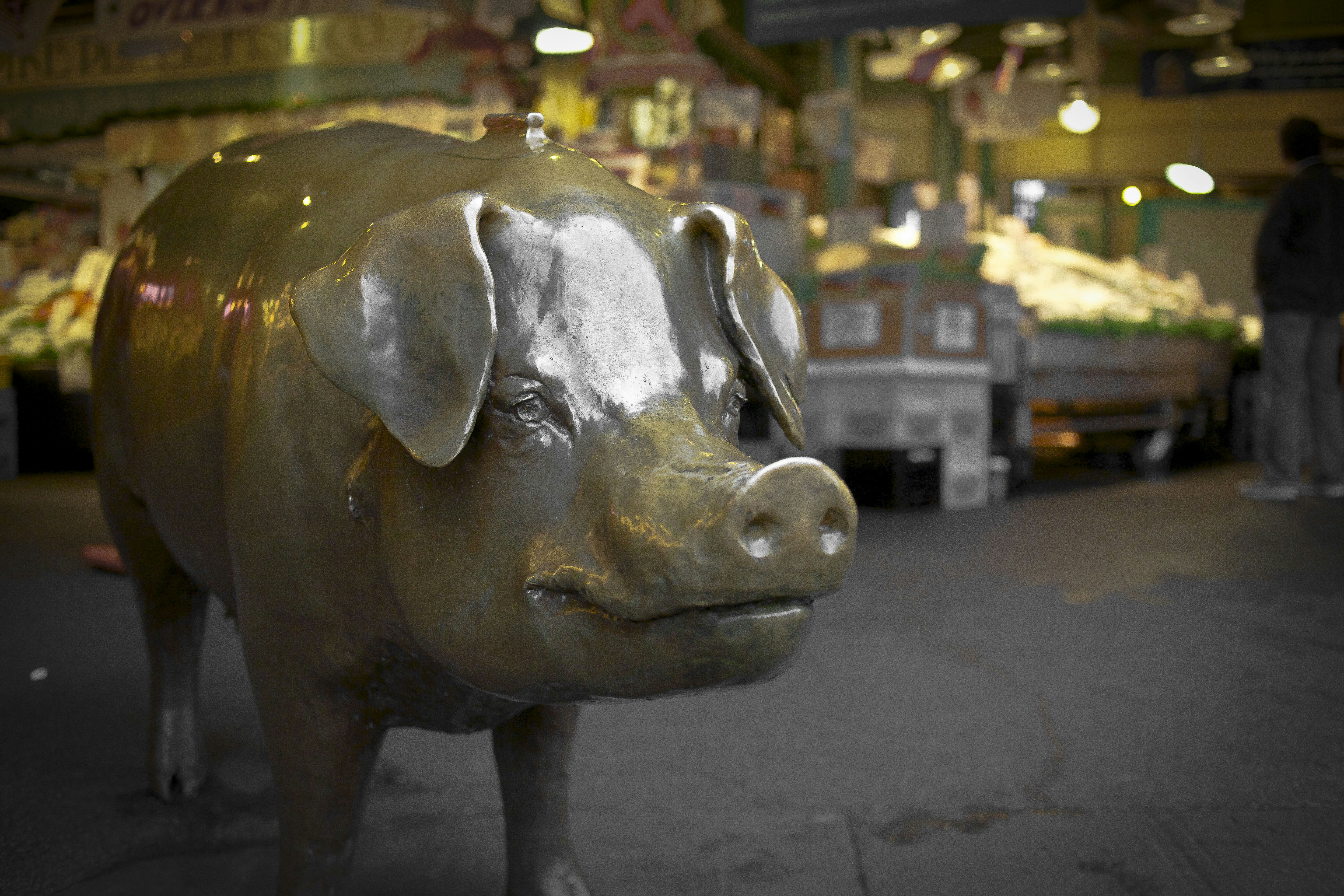 Exciting Updates: Spain's Pork Market Welcomes Chinese Reopening