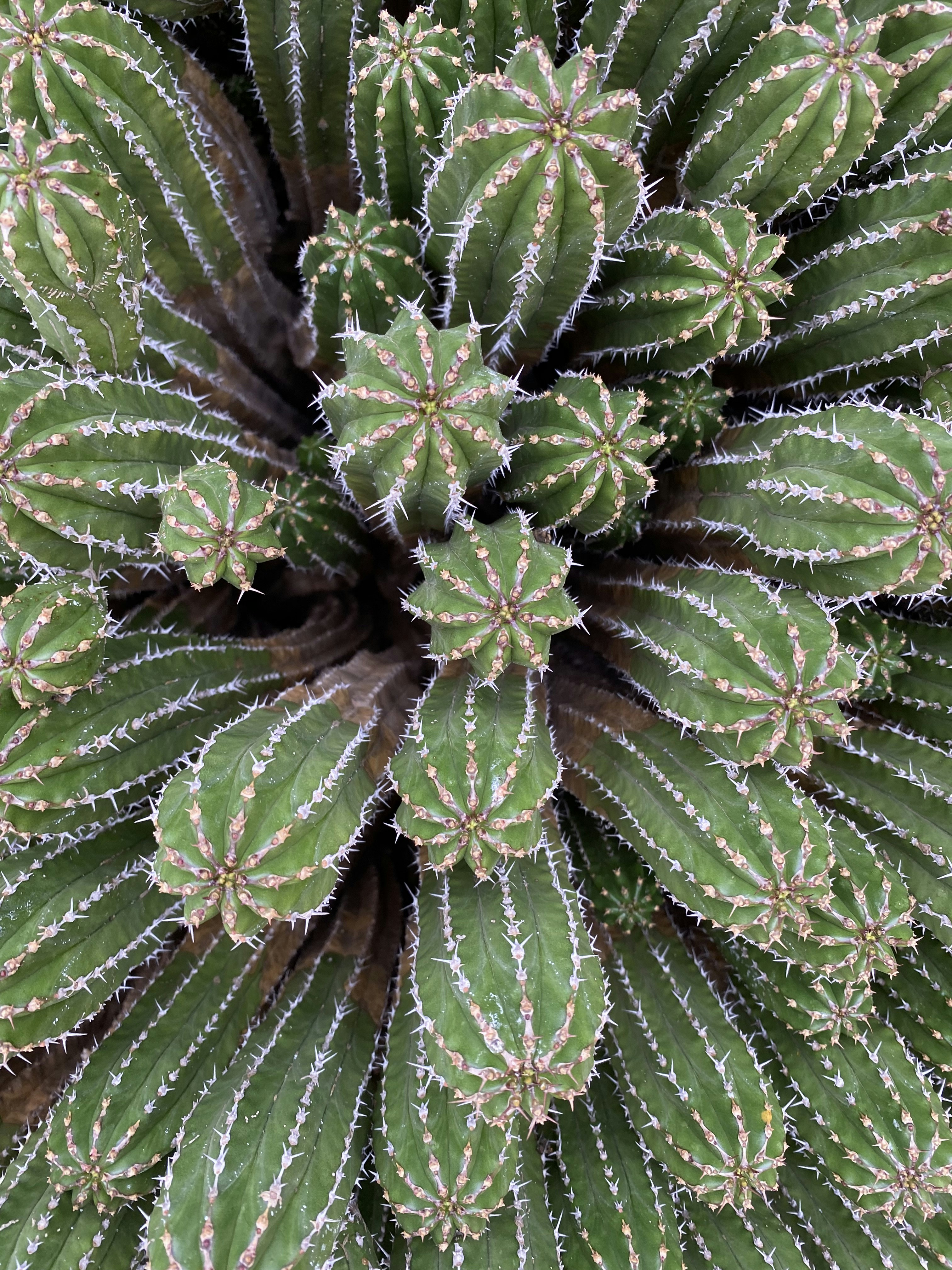 Photo by thehopester