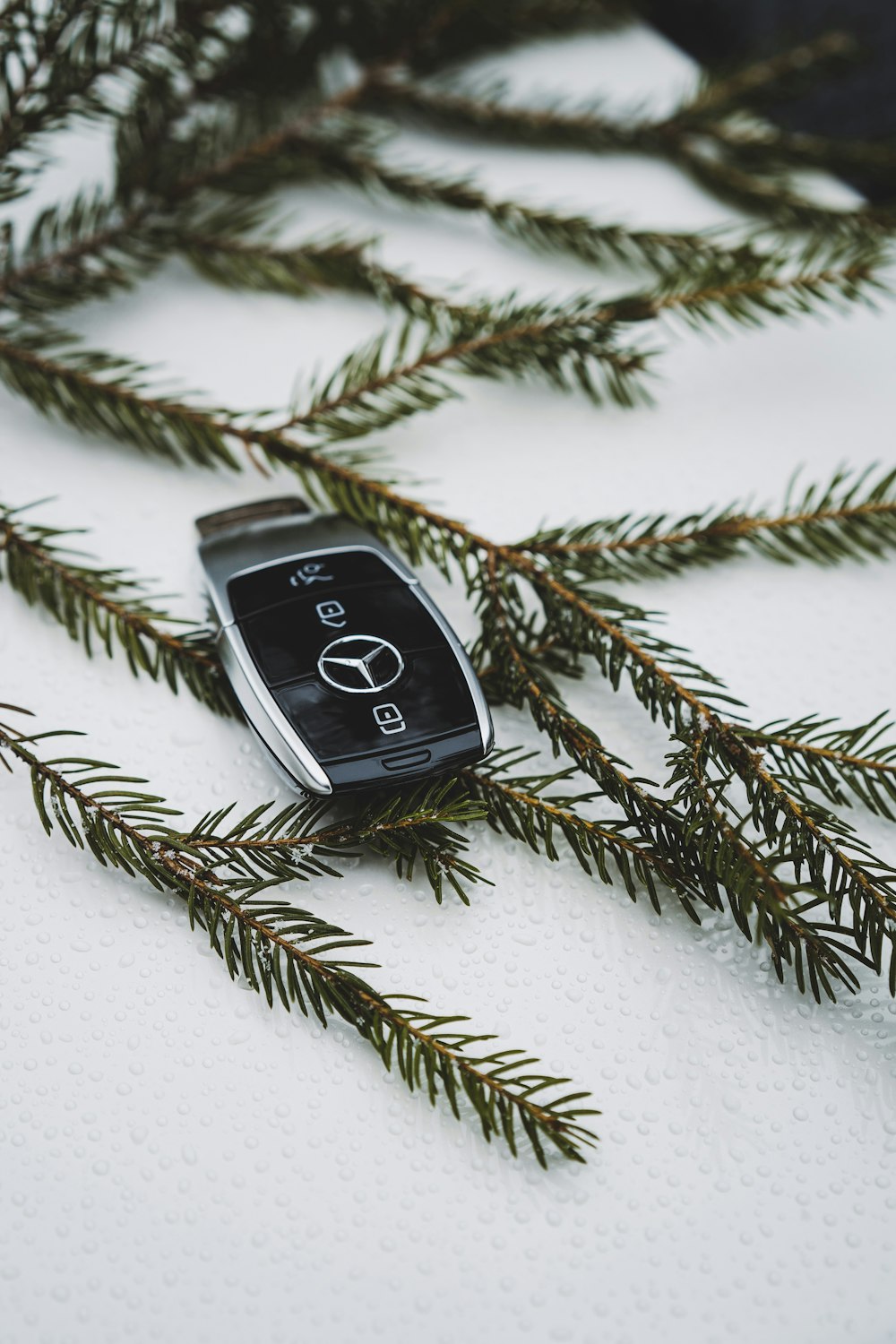 a cell phone laying on top of a pine tree