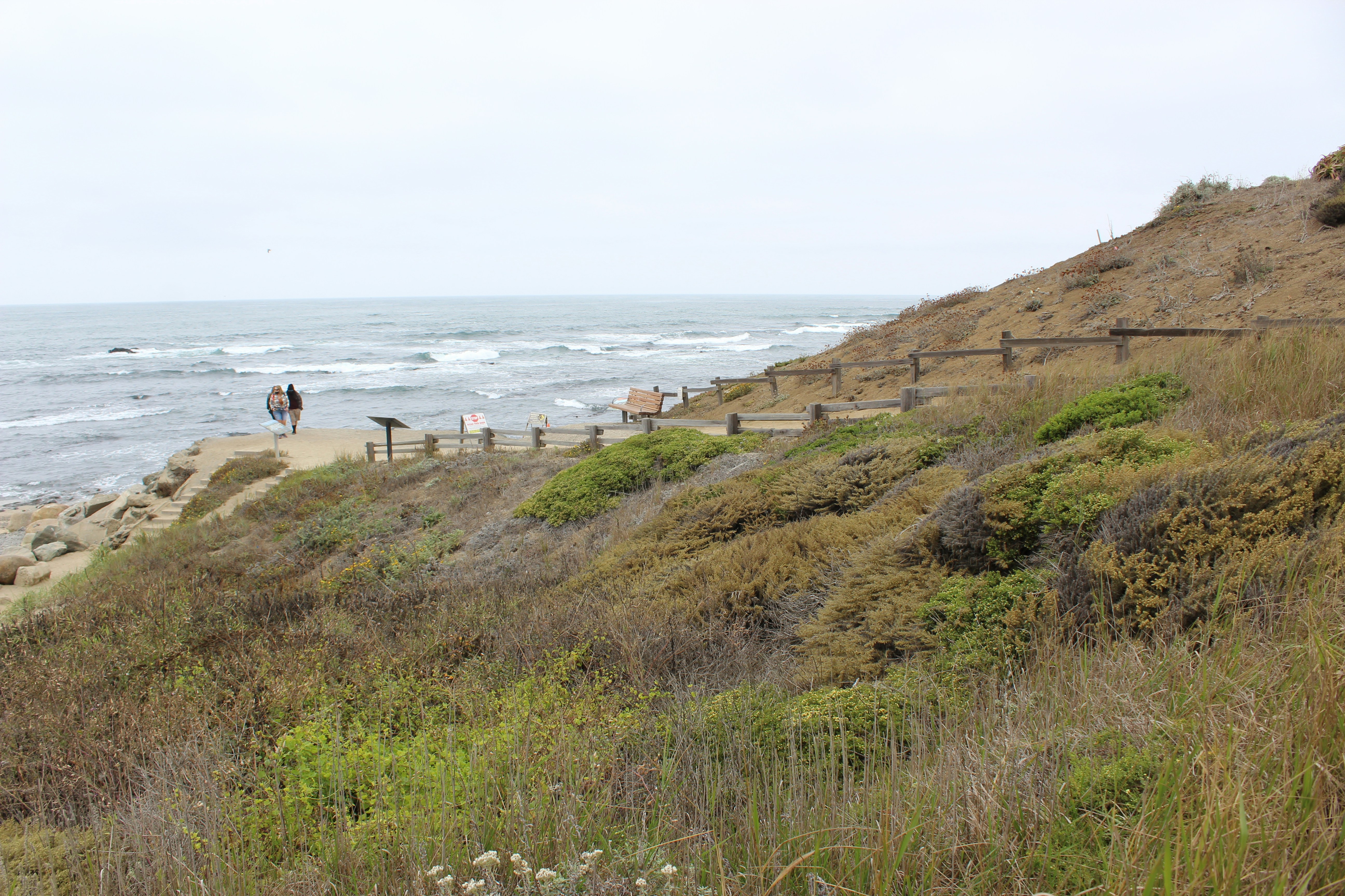 Half Moon Bay