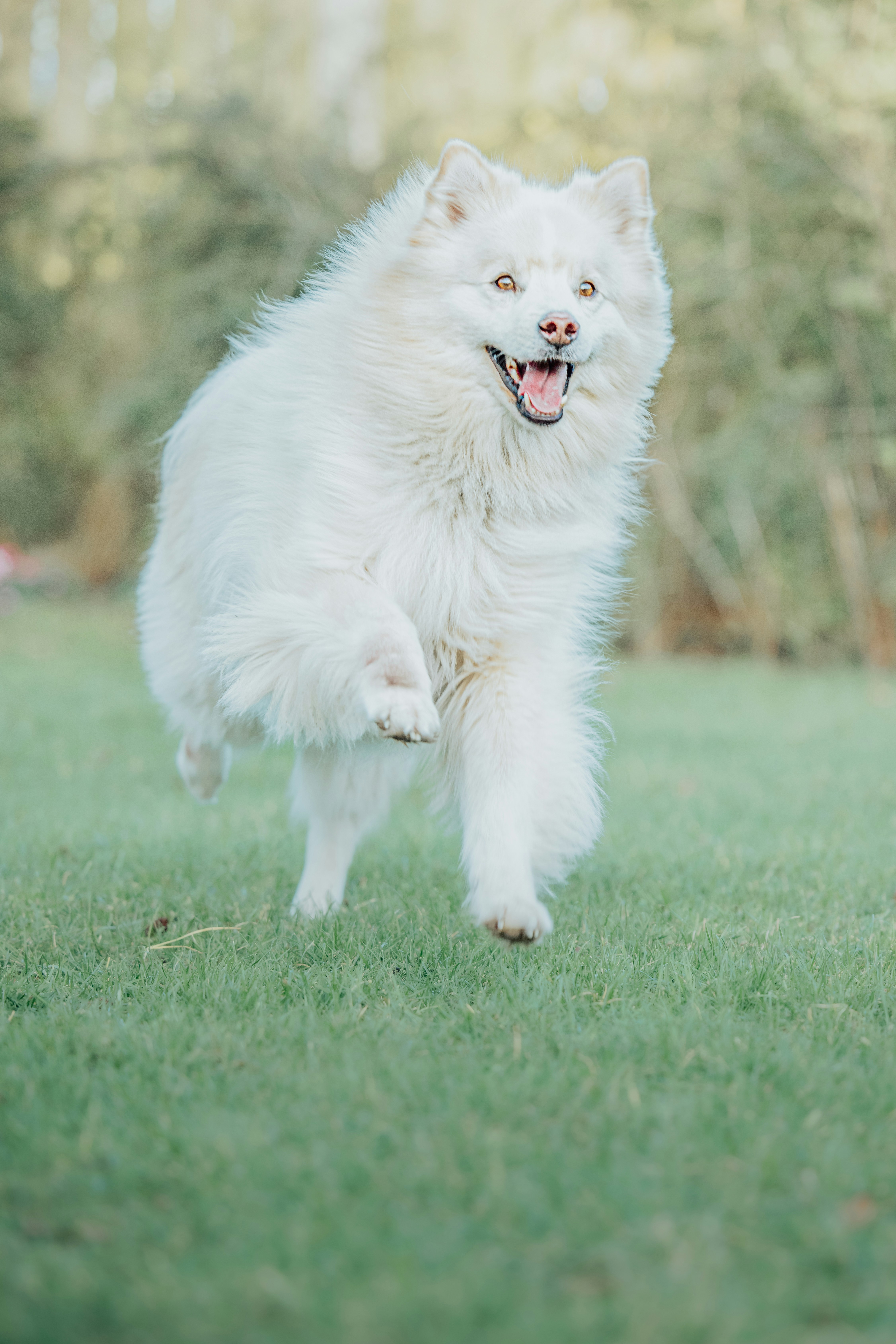 Photo by lukethorntonofficial