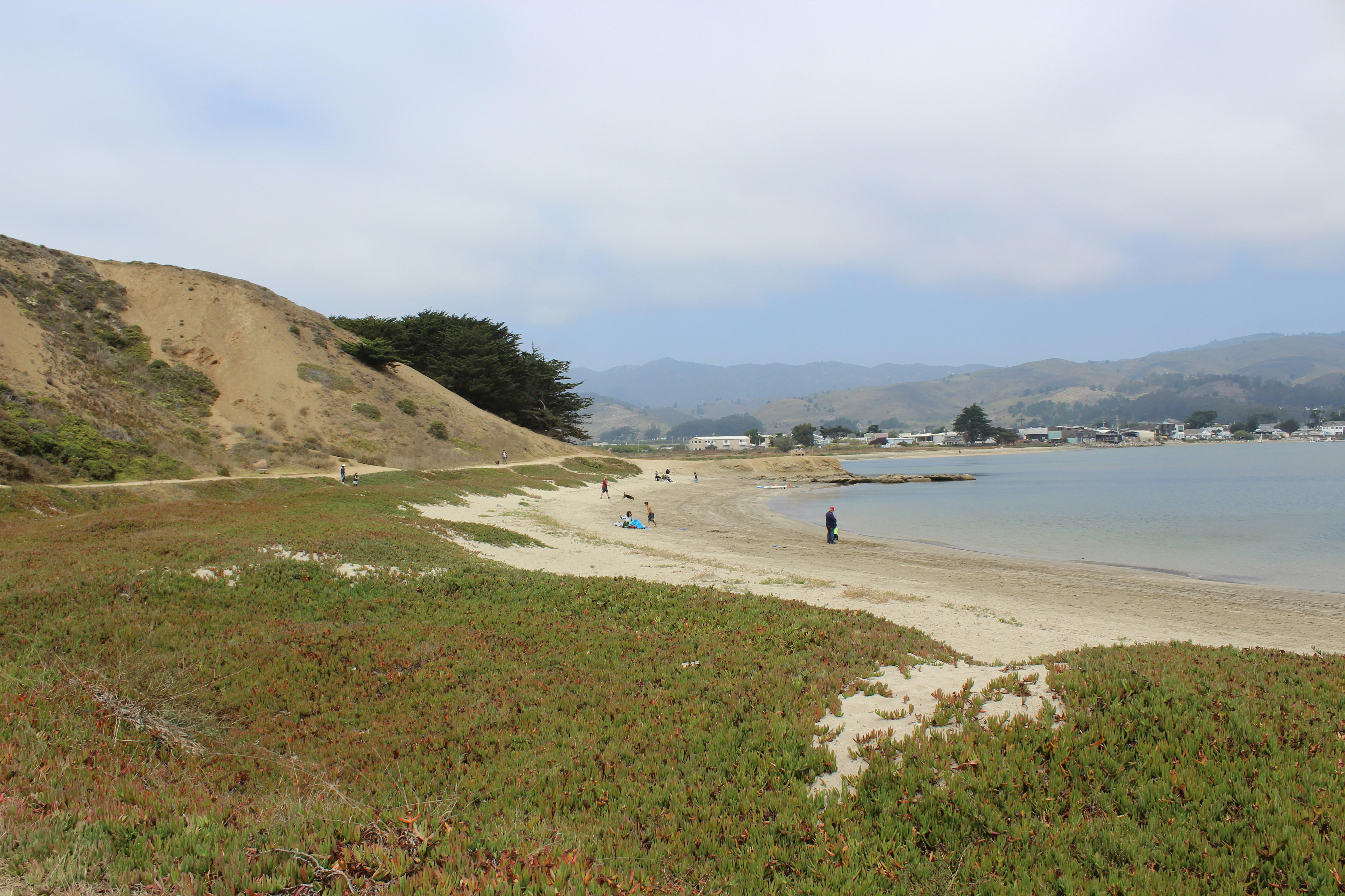 Texel eiland natuur en stranden ideaal voor honden