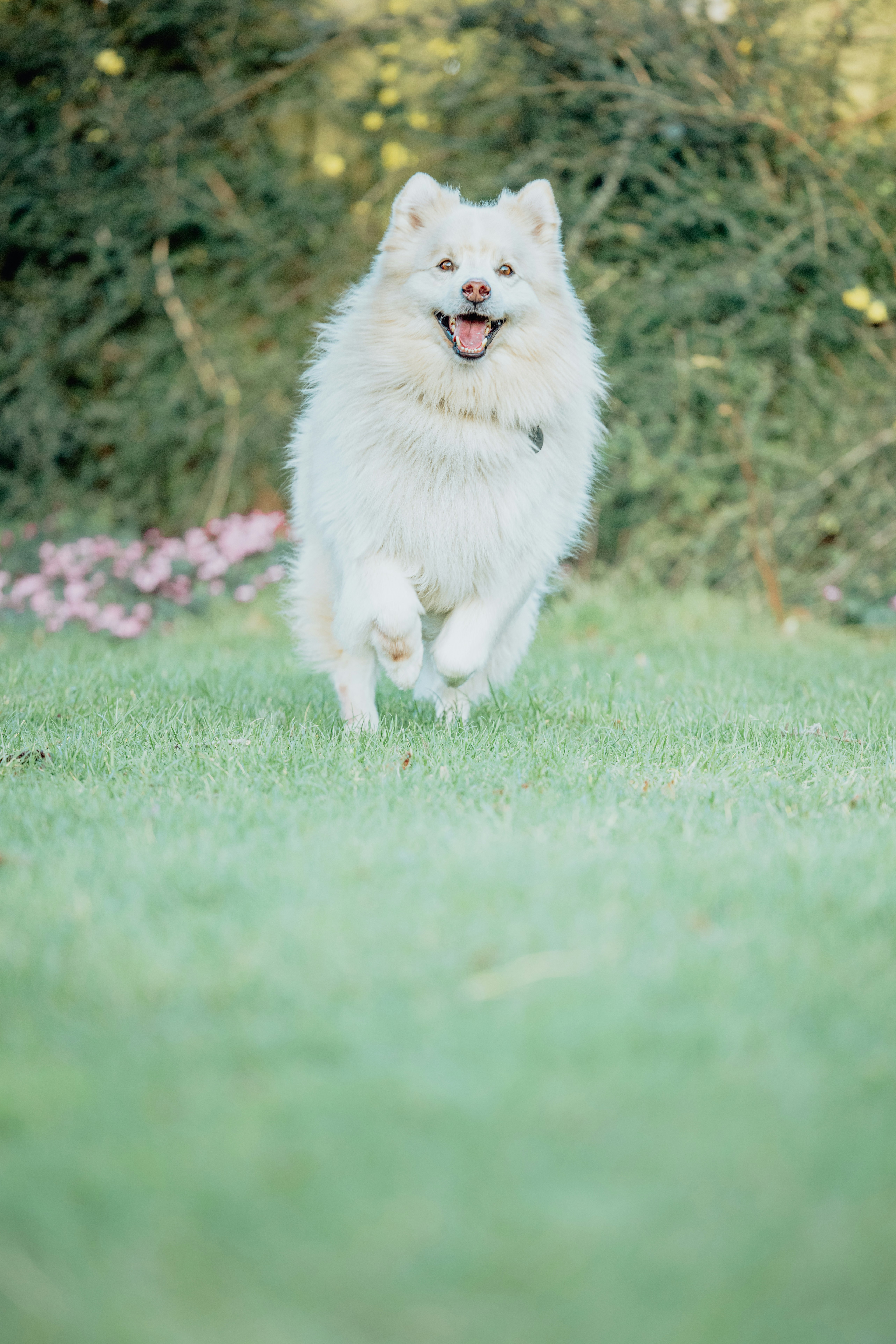 Photo by lukethorntonofficial